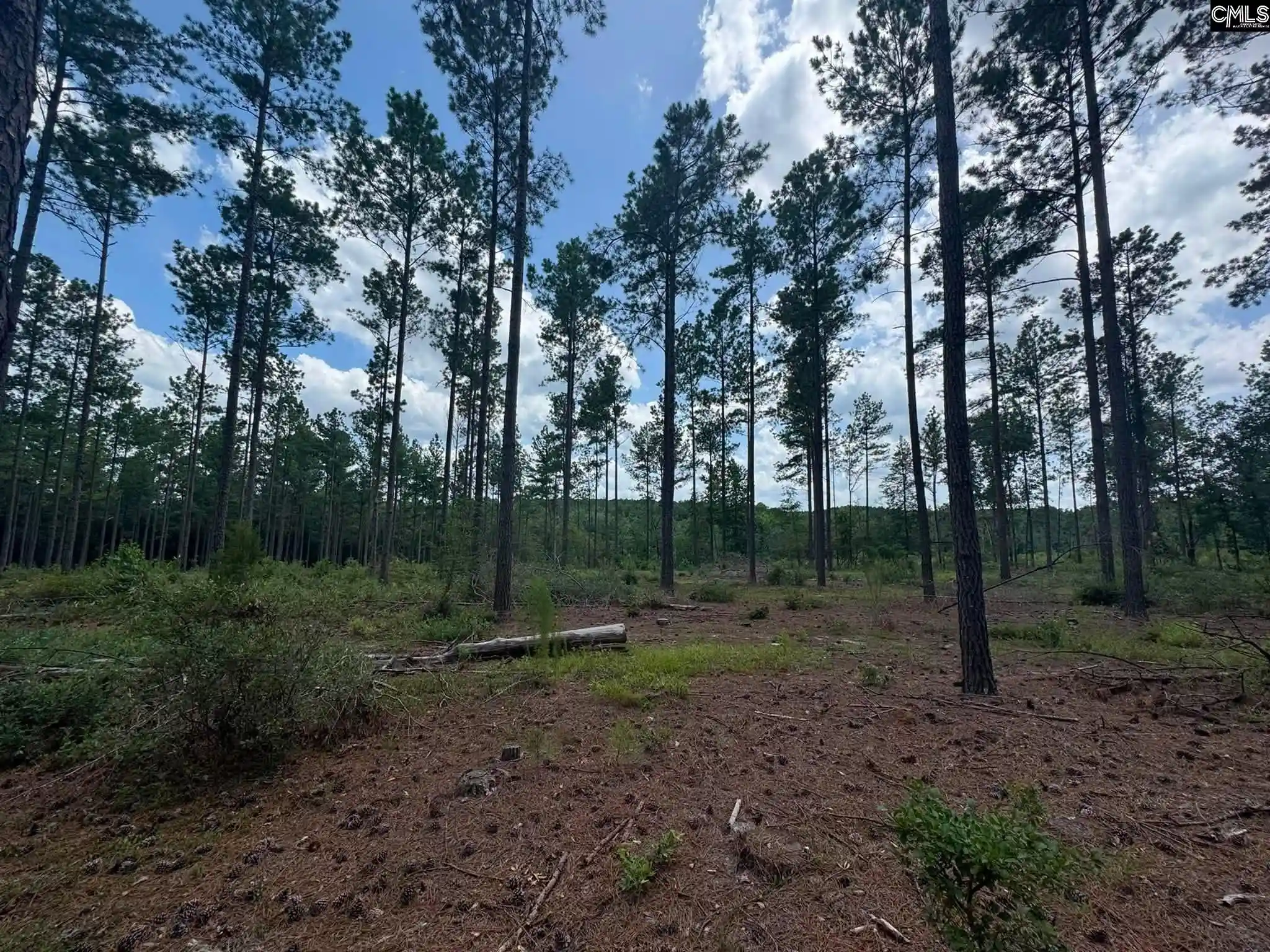 Photo 2 of Land for sale at Beaver Creek, Swansea, SC 29160 | MLS# 639488 | Listing updated on 2026-07-27