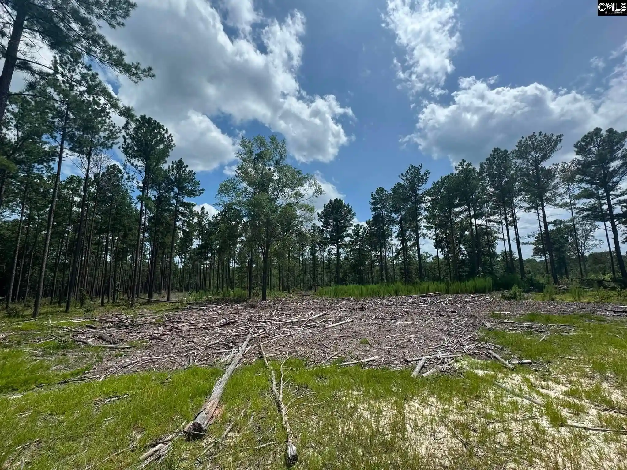 Photo 3 of Land for sale at Beaver Creek, Swansea, SC 29160 | MLS# 639488 | Listing updated on 2026-07-27