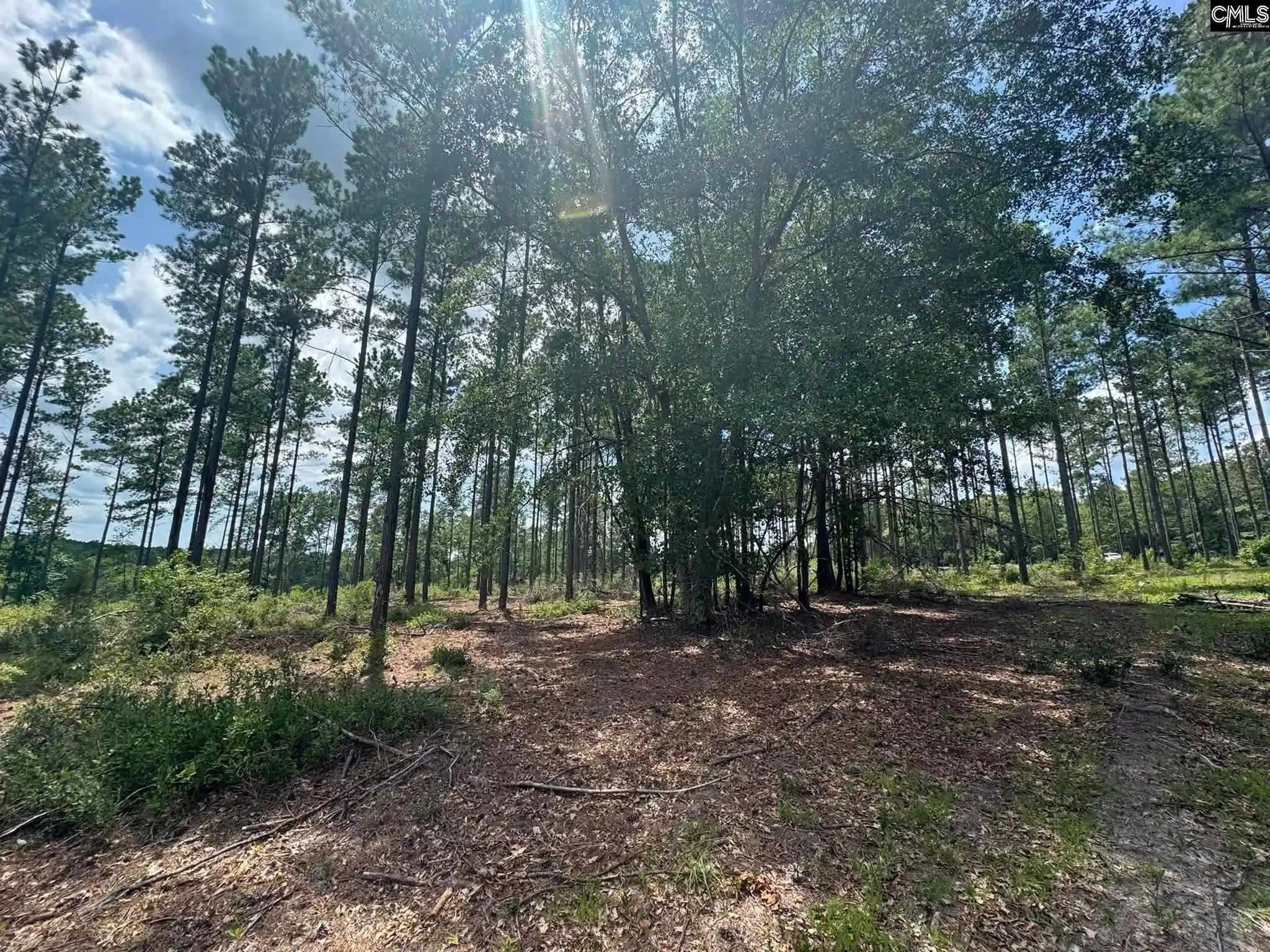Photo 4 of Land for sale at Beaver Creek, Swansea, SC 29160 | MLS# 639488 | Listing updated on 2026-07-27