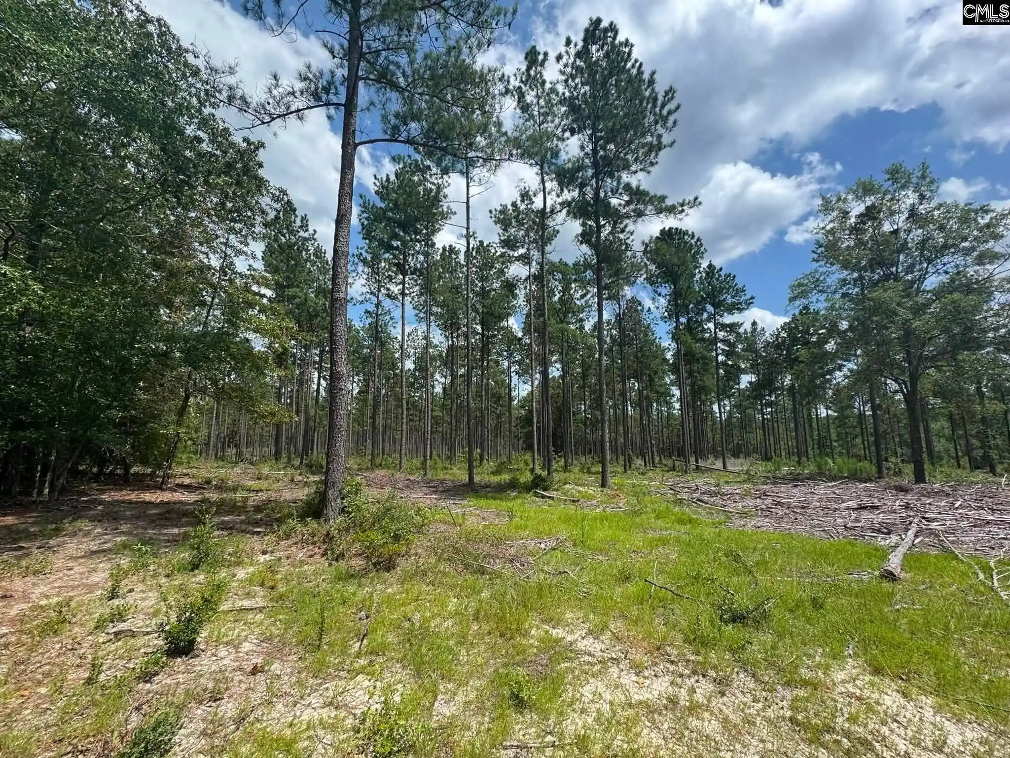 Photo 5 of Land for sale at Beaver Creek, Swansea, SC 29160 | MLS# 639488 | Listing updated on 2026-07-27