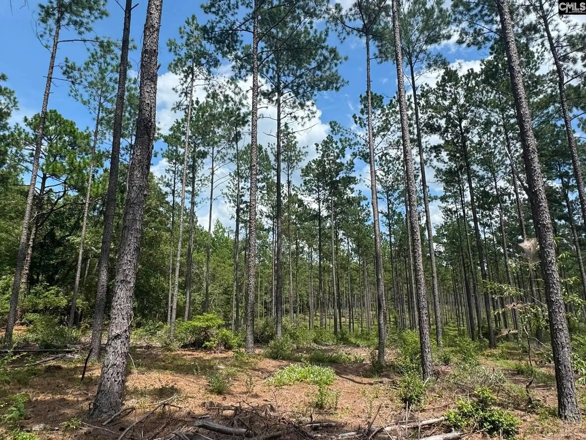 Photo 31 of Land for sale at Beaver Creek, Swansea, SC 29160 | MLS# 639488 | Listing updated on 2026-07-27