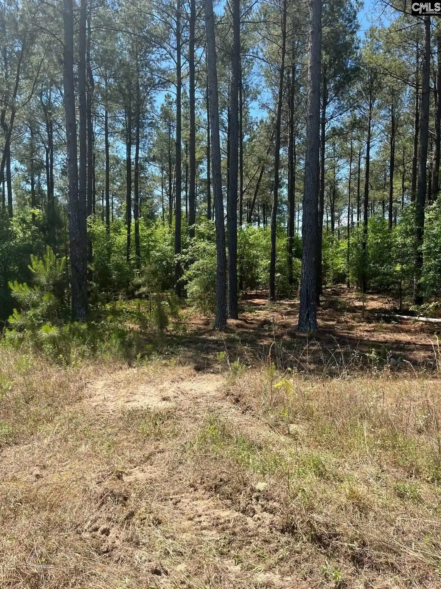 2nd image of Sda 2 Salley, Salley, SC 29137 | MLS# 639489
