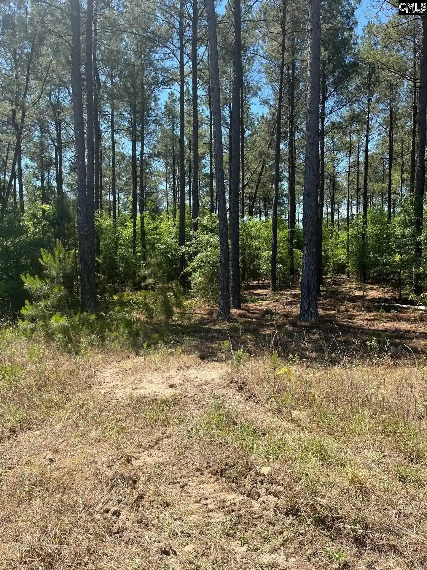 3rd image of Sda 2 Salley, Salley, SC 29137 | MLS# 639489