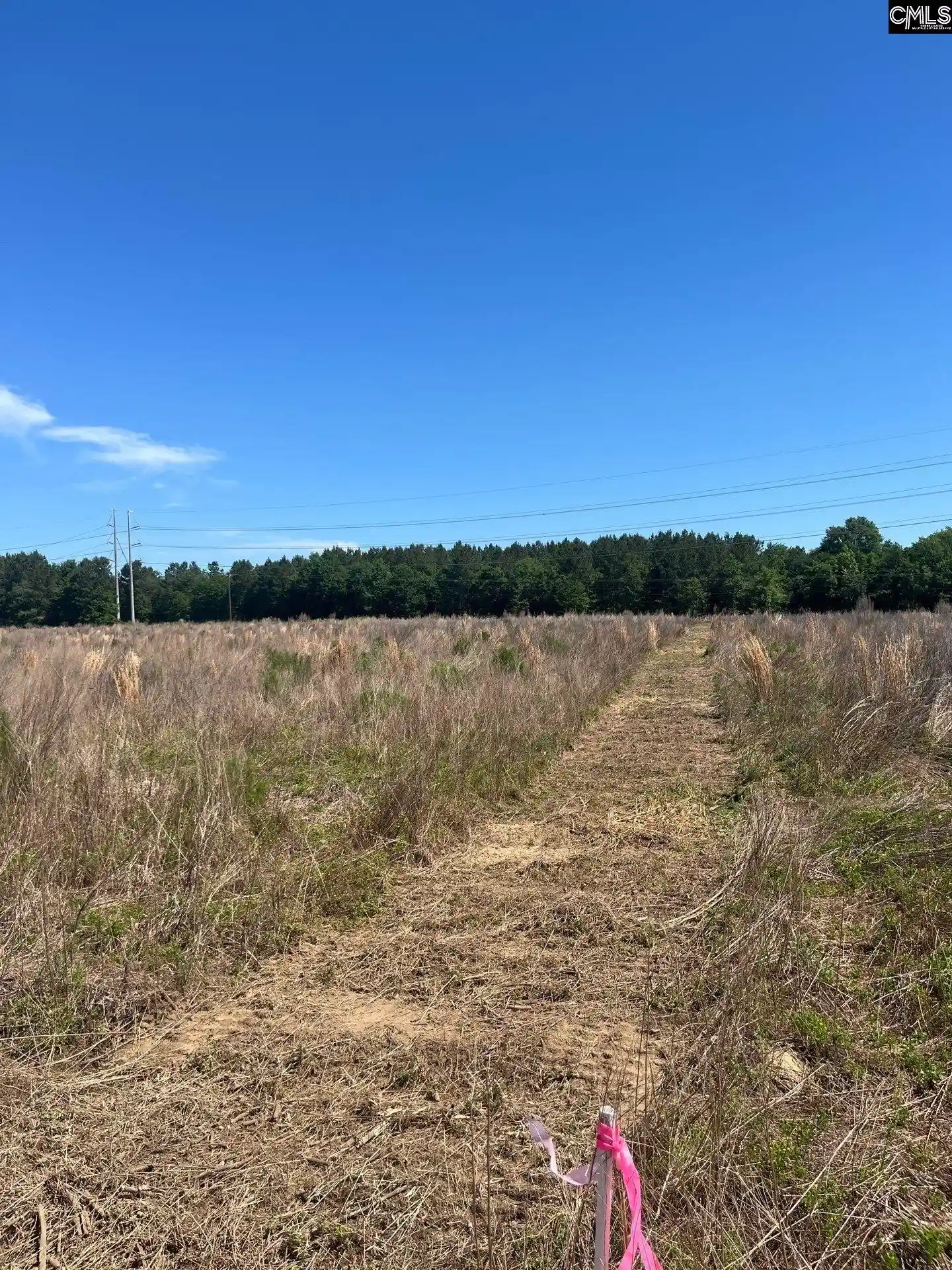 3rd image of Sda 3 Salley, Salley, SC 29137 | MLS# 639490