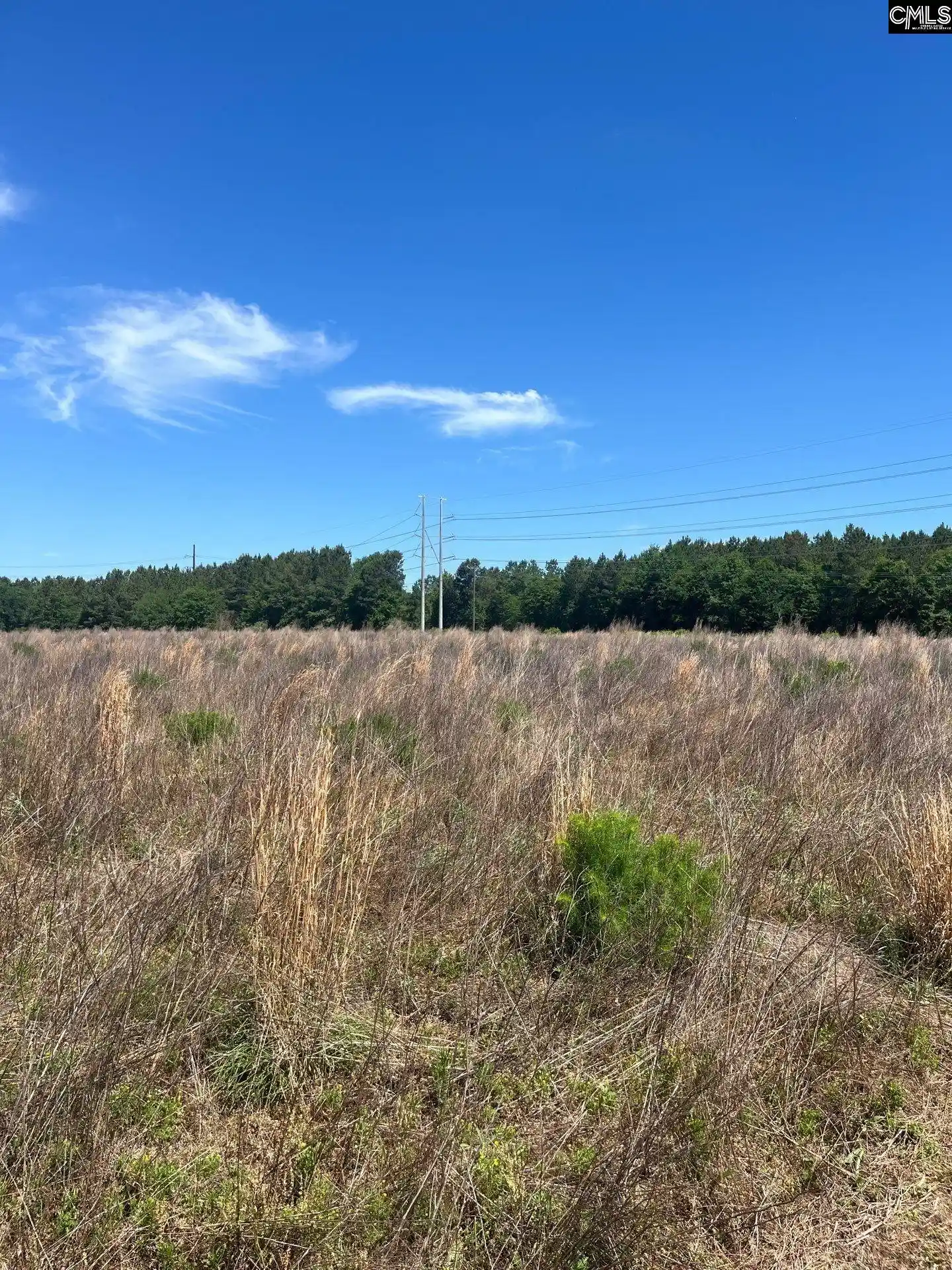 4th image of Sda 3 Salley, Salley, SC 29137 | MLS# 639490