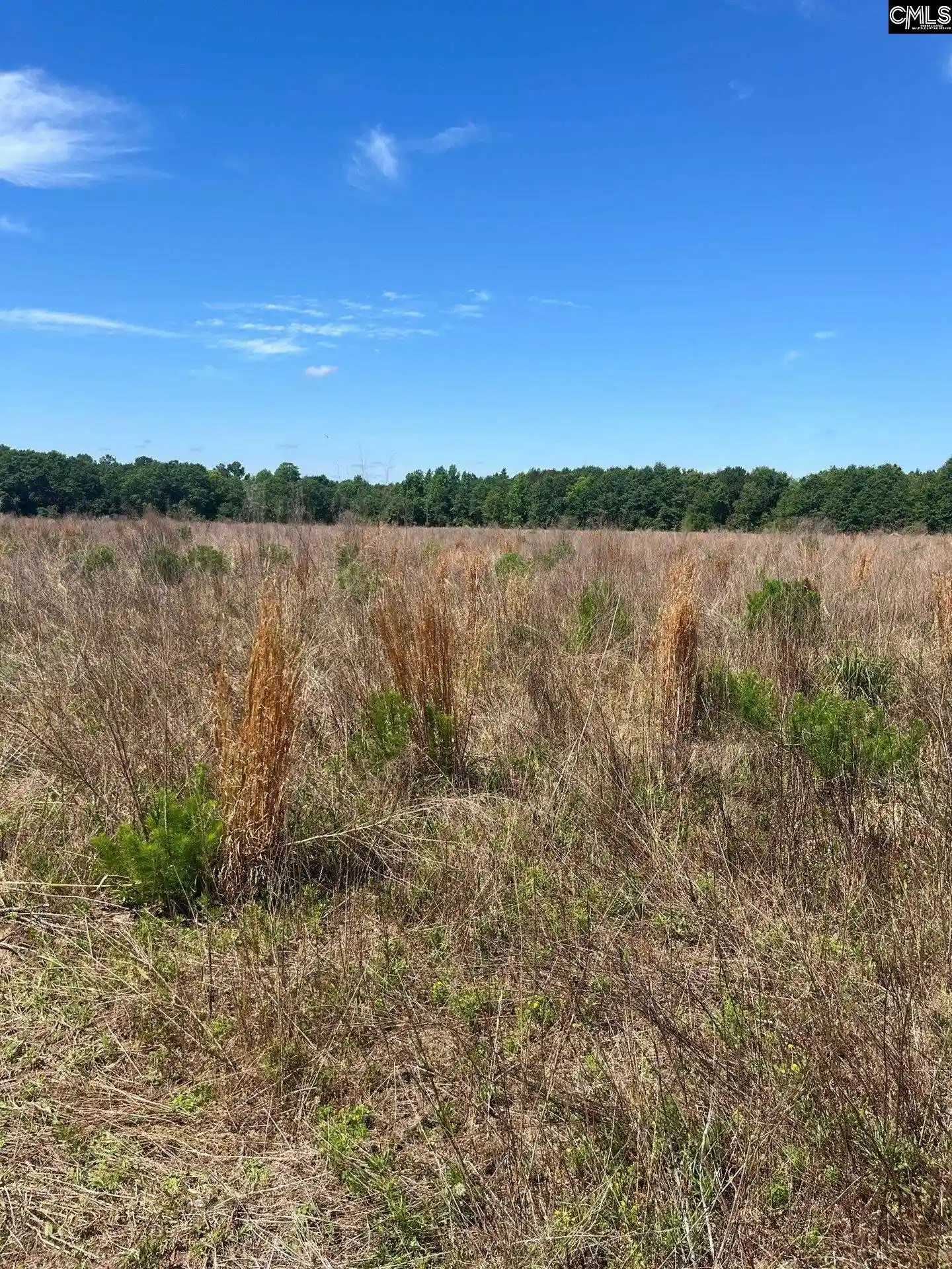 5th image of Sda 3 Salley, Salley, SC 29137 | MLS# 639490