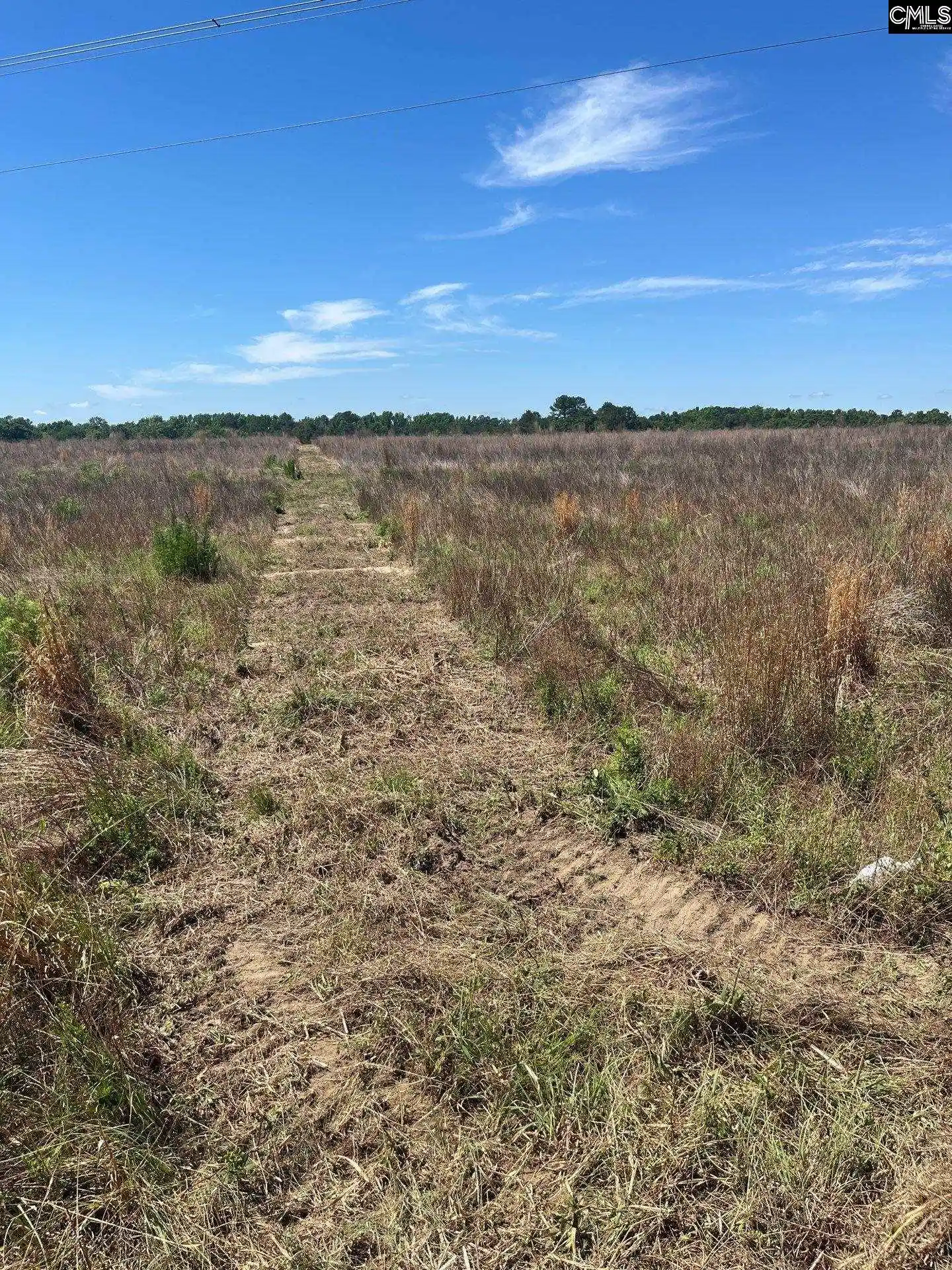 14th image of Sda 4 Salley, Salley, SC 29137 | MLS# 639491