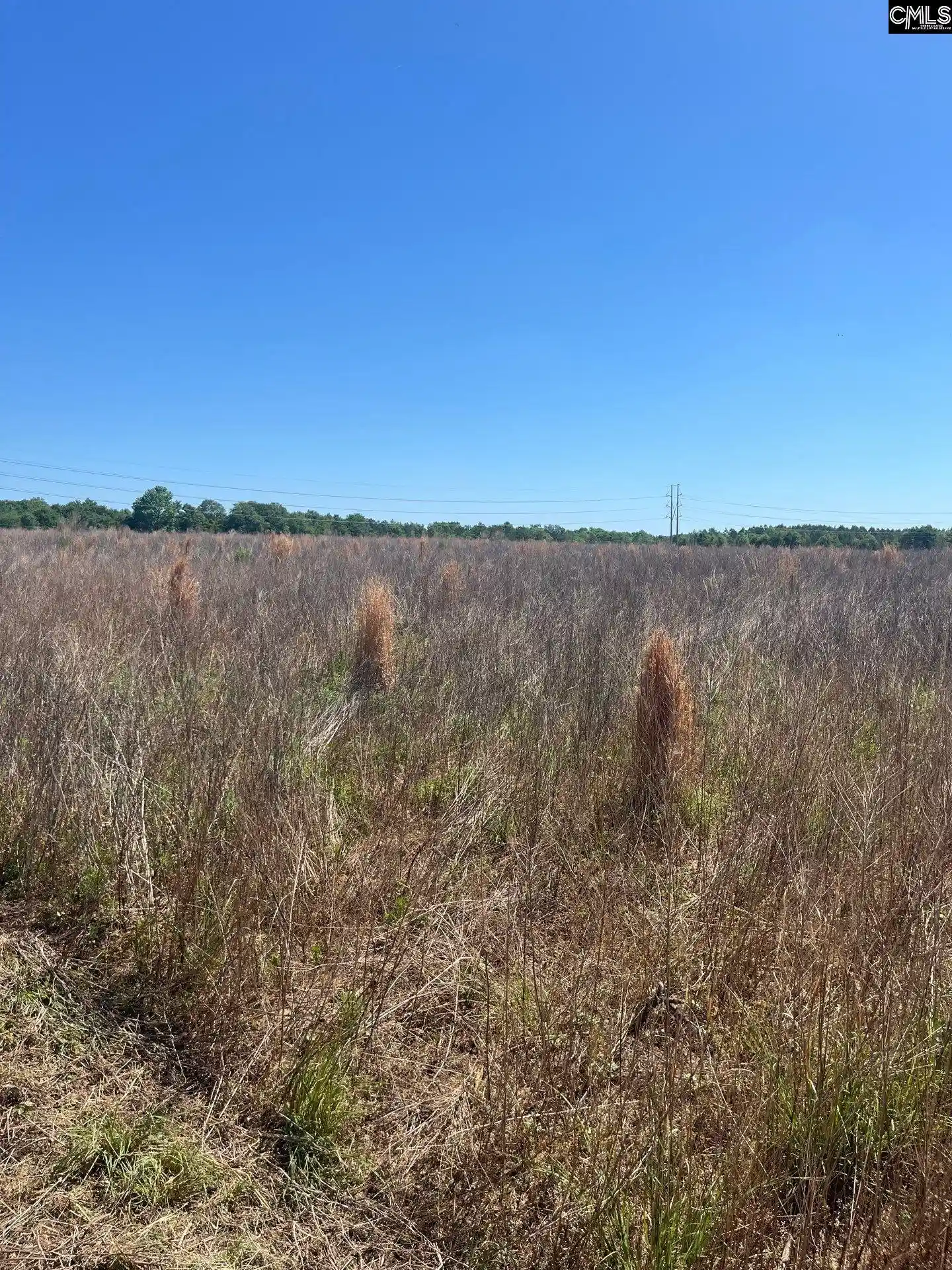 3rd image of Sda 5 Salley, Salley, SC 29137 | MLS# 639497