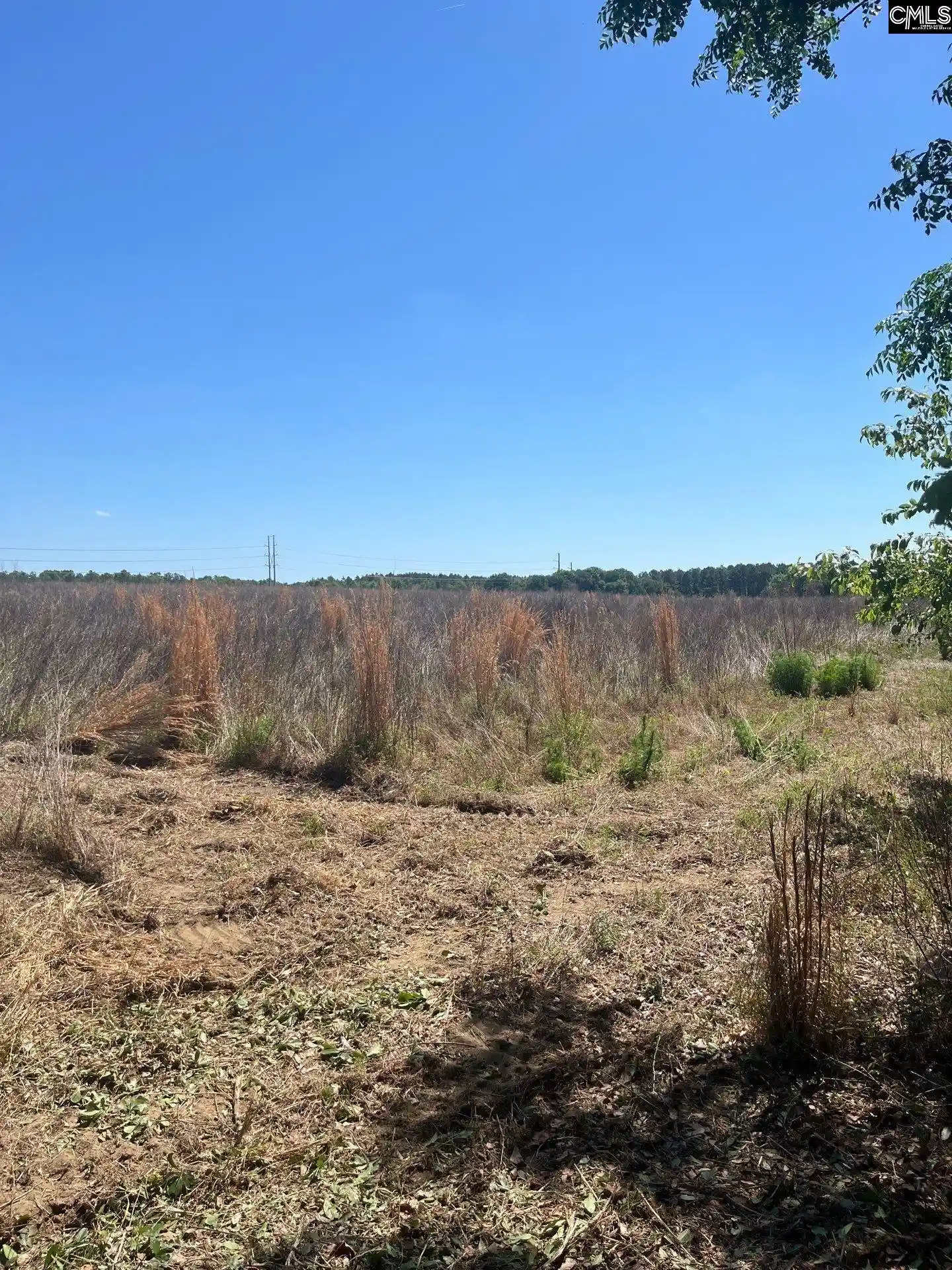4th image of Sda 5 Salley, Salley, SC 29137 | MLS# 639497