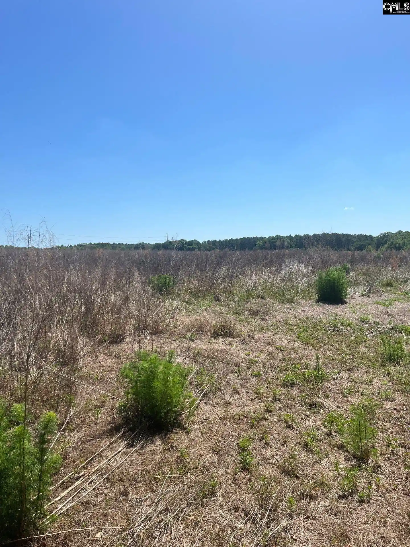 5th image of Sda 5 Salley, Salley, SC 29137 | MLS# 639497