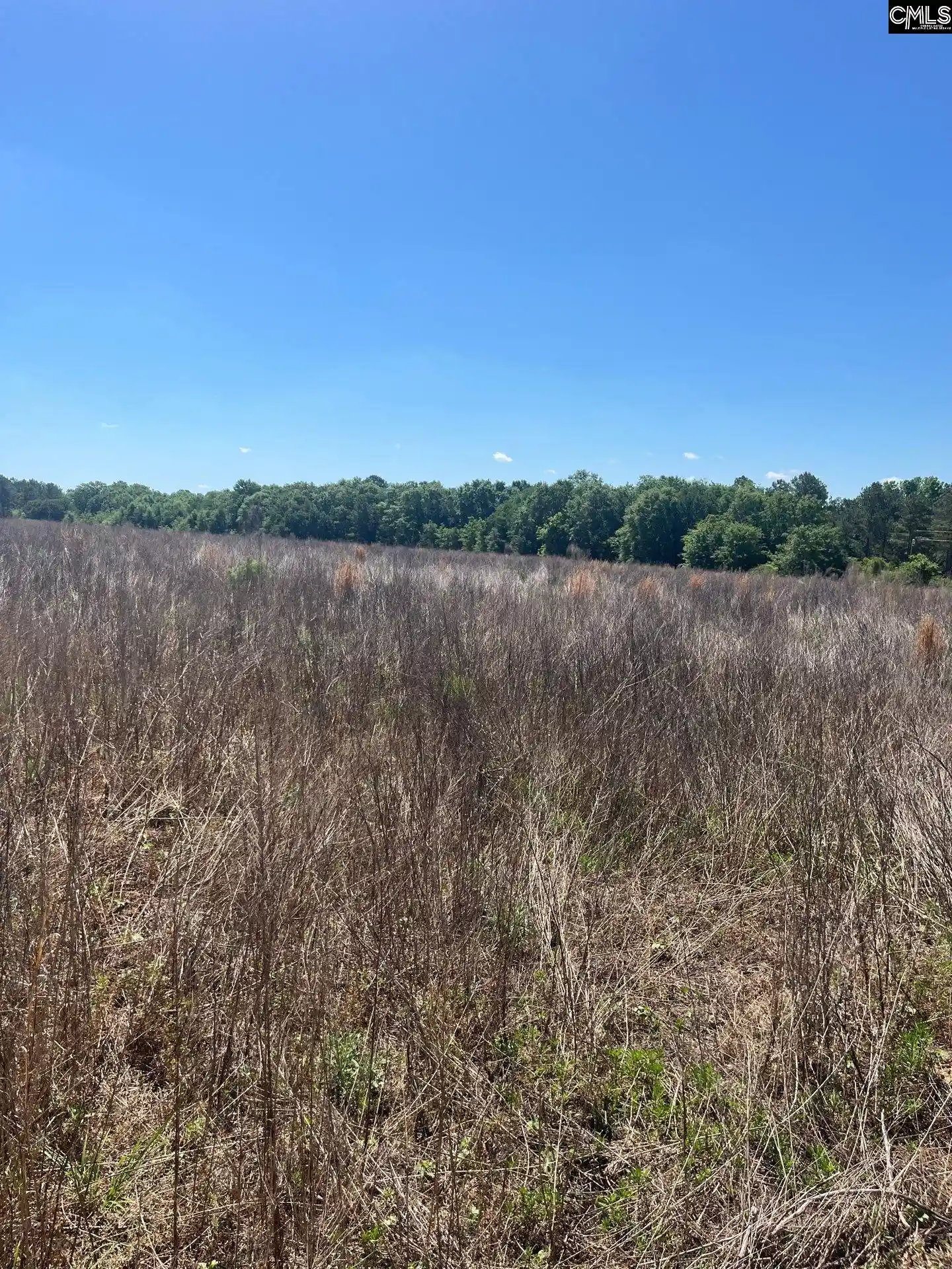 16th image of Sda 5 Salley, Salley, SC 29137 | MLS# 639497
