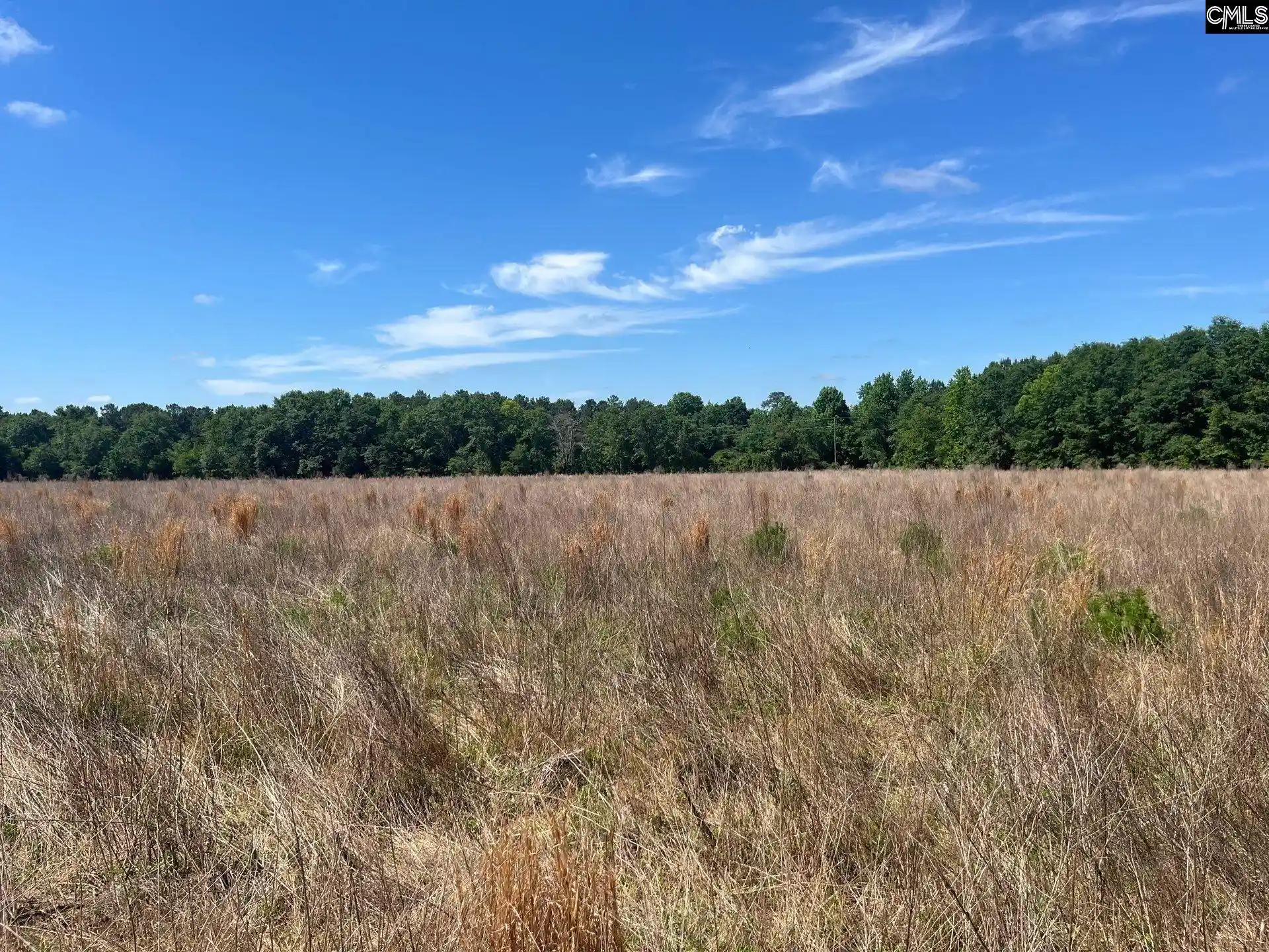3rd image of Sda 6 Salley, Salley, SC 29137 | MLS# 639500