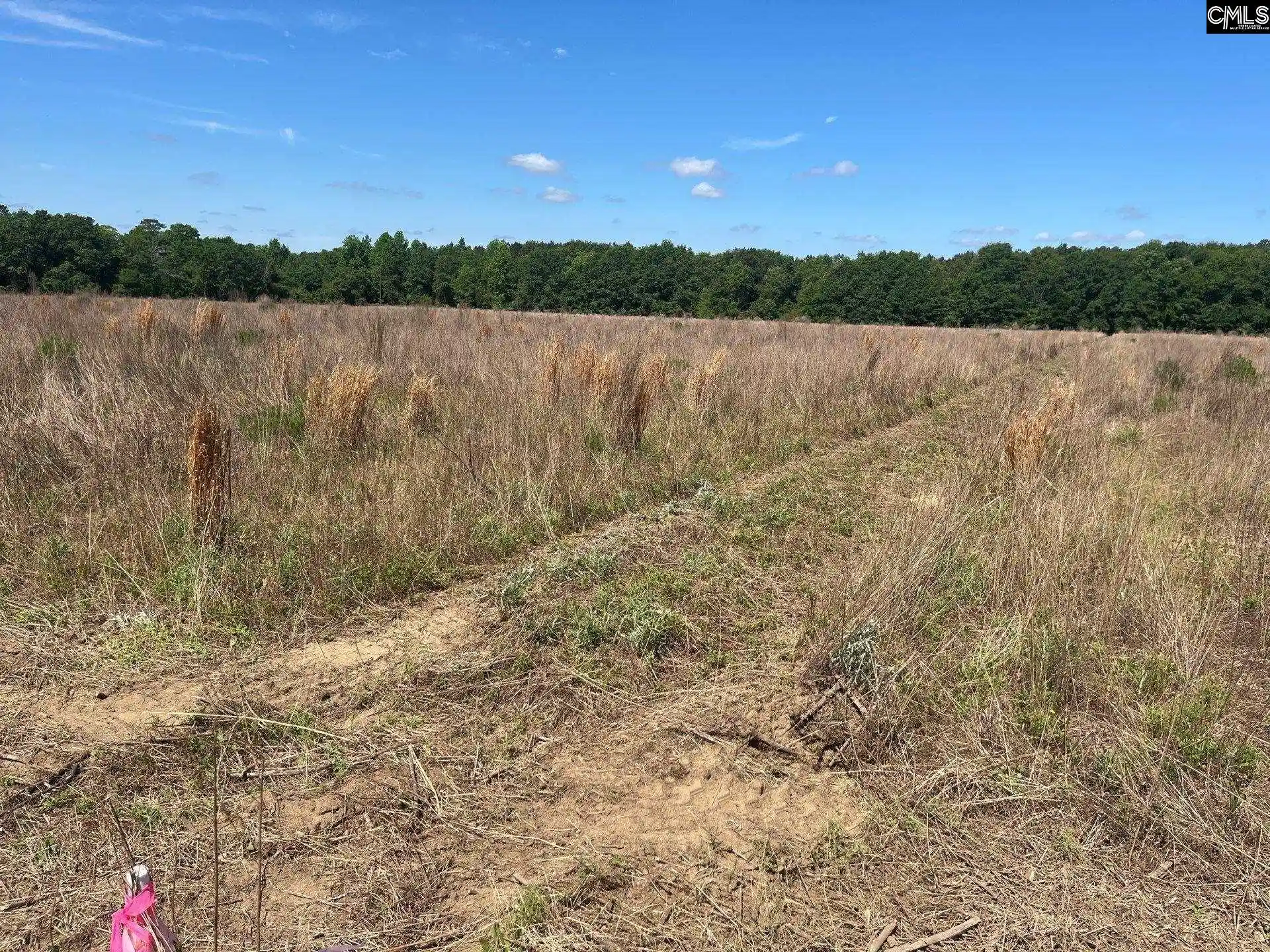5th image of Sda 6 Salley, Salley, SC 29137 | MLS# 639500