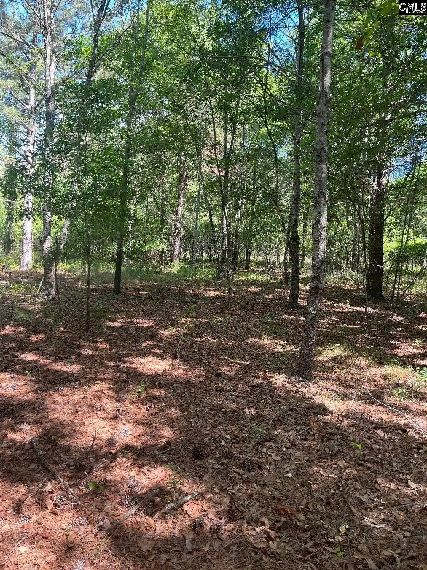 2nd image of Sda 7 Salley, Salley, SC 29137 | MLS# 639502