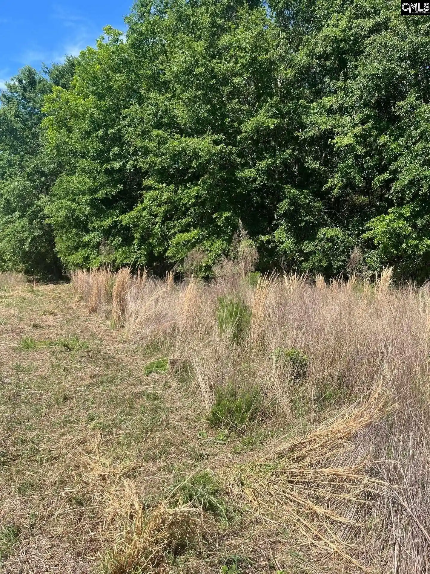 5th image of Sda 7 Salley, Salley, SC 29137 | MLS# 639502