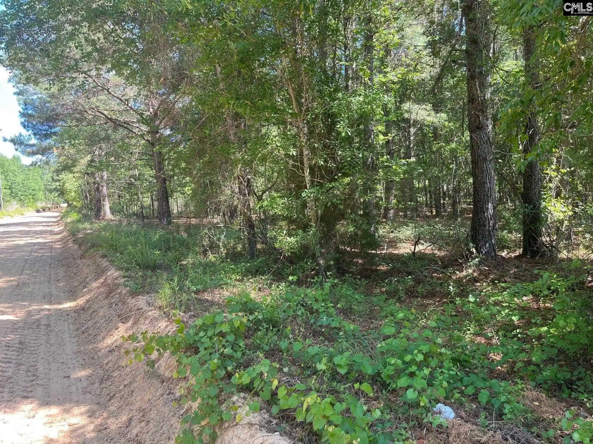 11th image of Sda 7 Salley, Salley, SC 29137 | MLS# 639502
