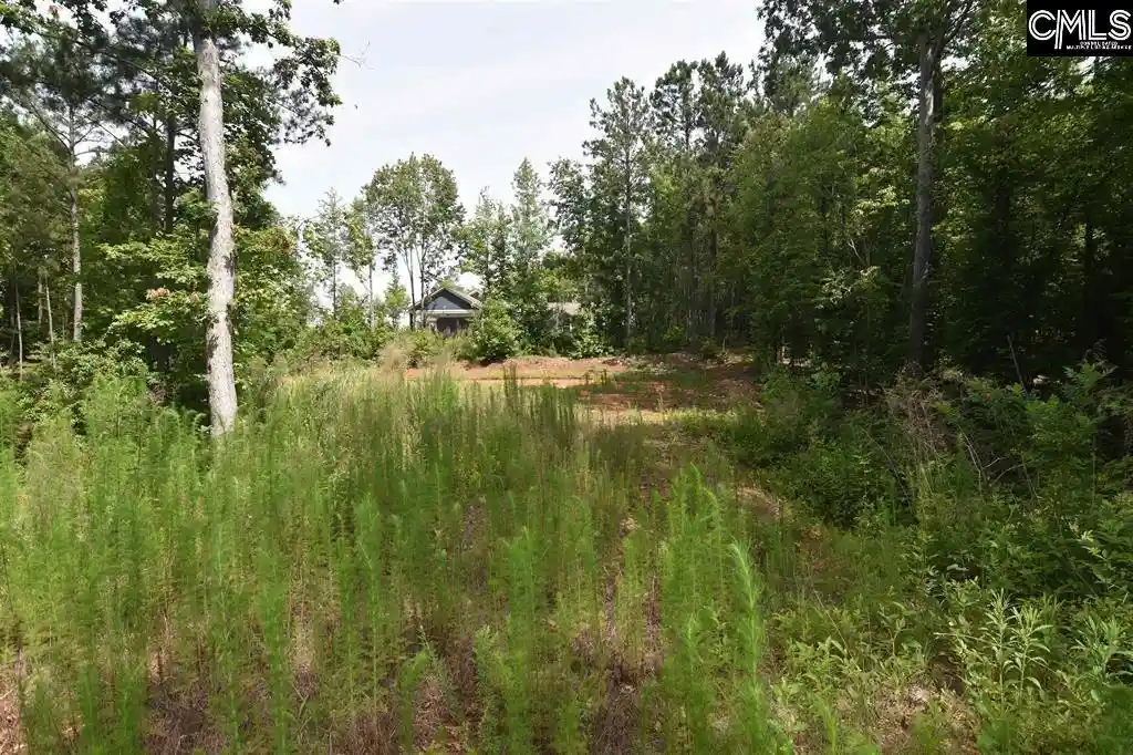 Photo 18 of Land for sale at 0 Longview, Leesville, SC 29070 | MLS# 639532 | Listing updated on 2026-07-28
