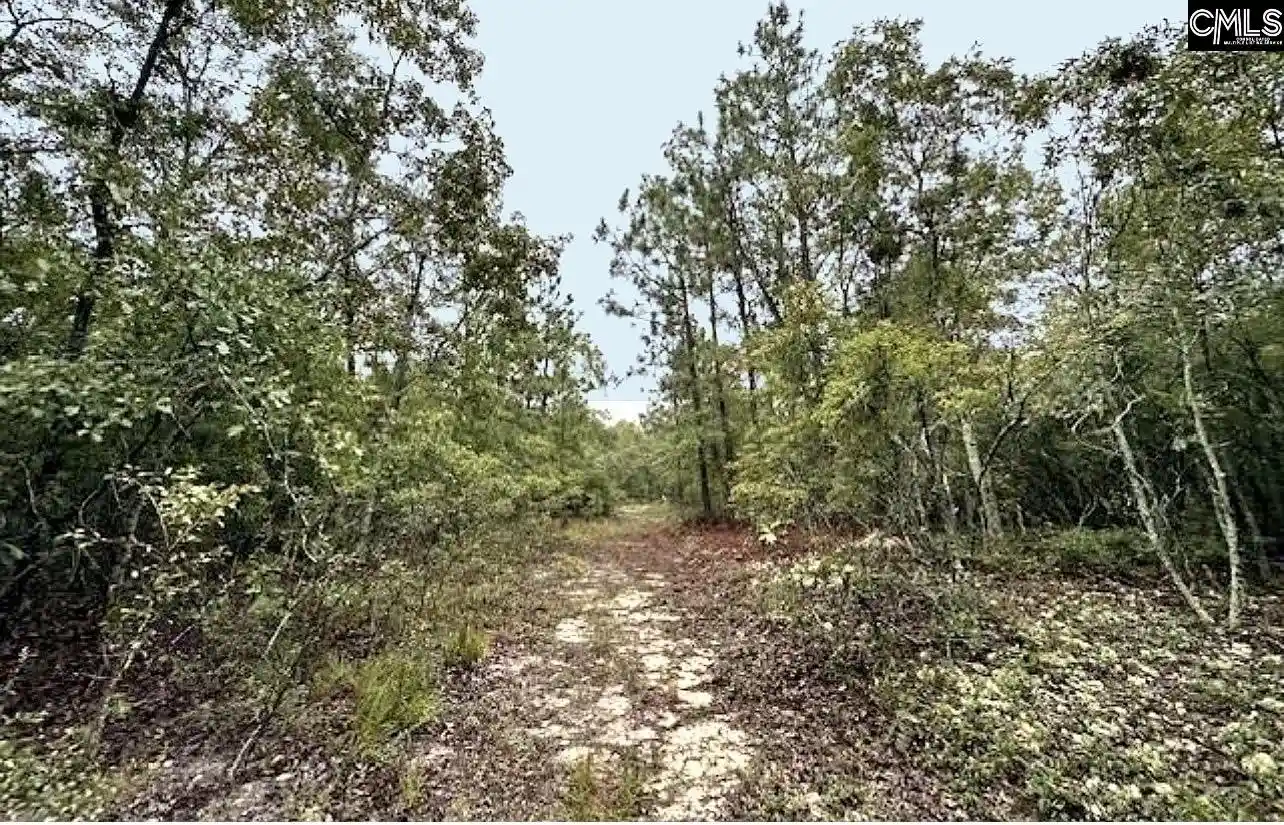 Photo 1 of Land for sale at 0 Fallaw, Gaston, SC 29053 | MLS# 639534 | Listing updated on 2026-07-28