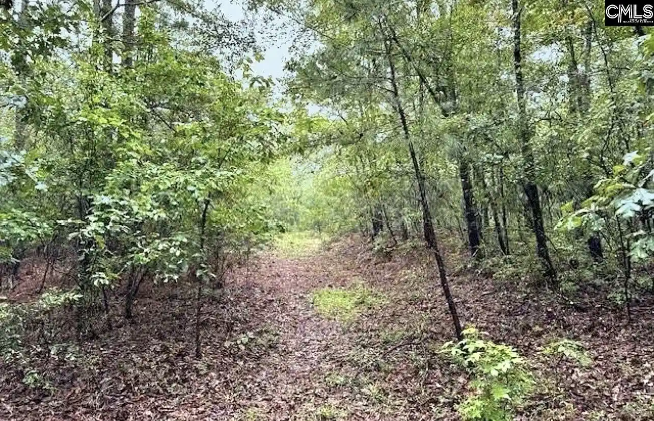 Photo 2 of Land for sale at 0 Fallaw, Gaston, SC 29053 | MLS# 639534 | Listing updated on 2026-07-28