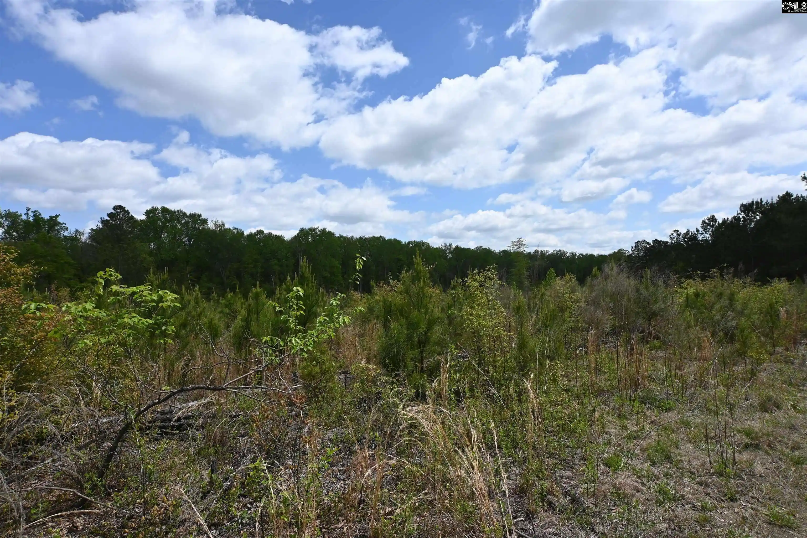 Land for sale at 0 Platt Springs, West Columbia, SC 29169 | MLS# 639535