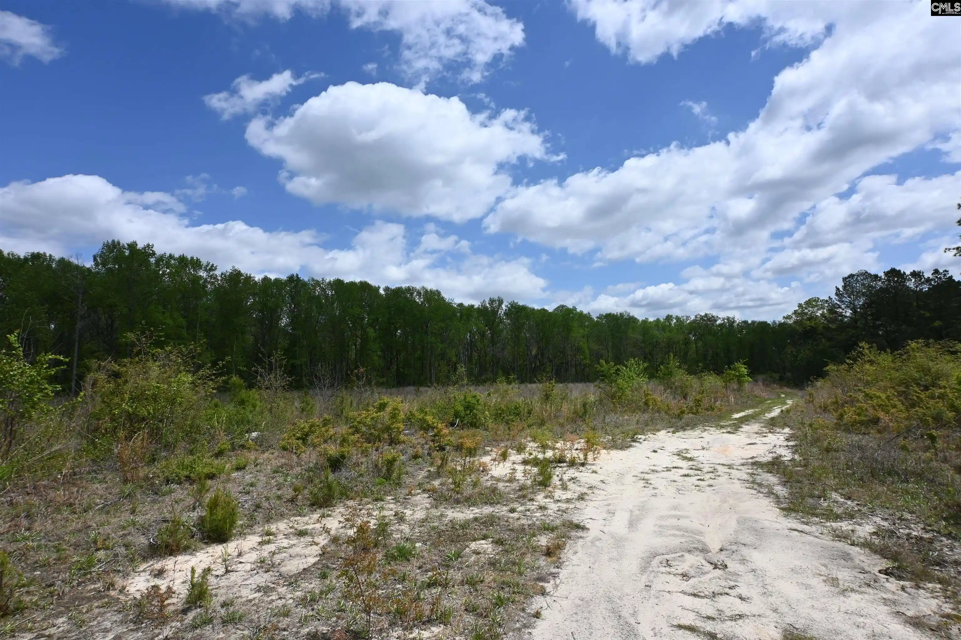 Photo 2 of Land for sale at 0 Platt Springs, West Columbia, SC 29169 | MLS# 639535 | Listing updated on 2026-07-28