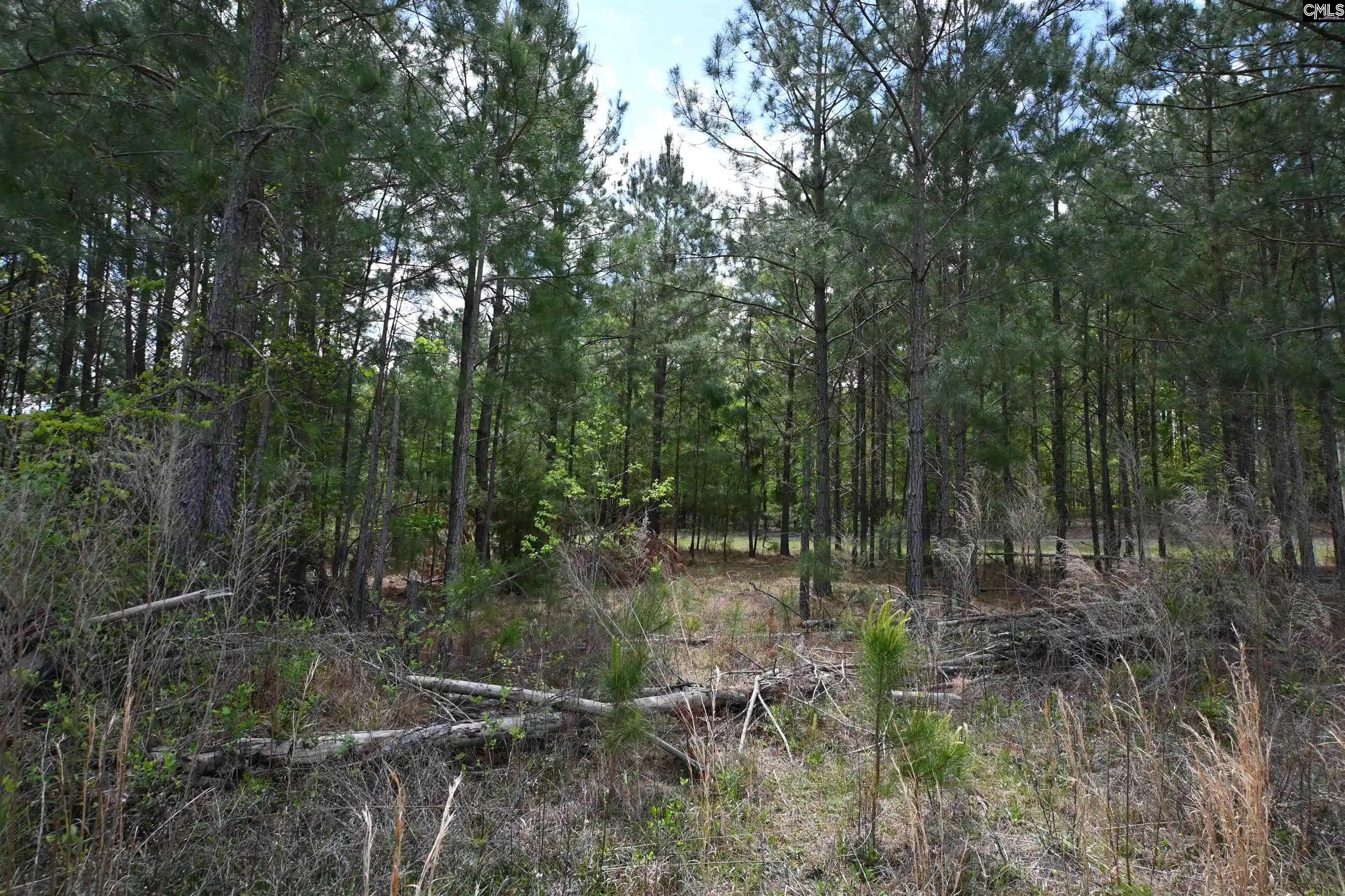 Photo 3 of Land for sale at 0 Platt Springs, West Columbia, SC 29169 | MLS# 639535 | Listing updated on 2026-07-28