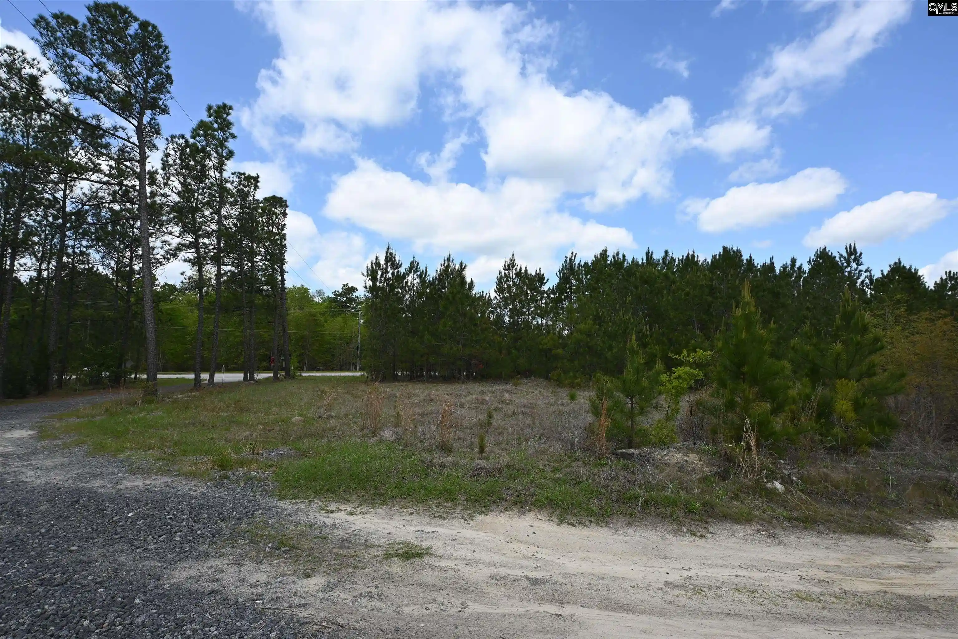 Photo 3 of Land for sale at 0 Platt Springs, West Columbia, SC 29169 | MLS# 639535 | Listing updated on 2026-07-28