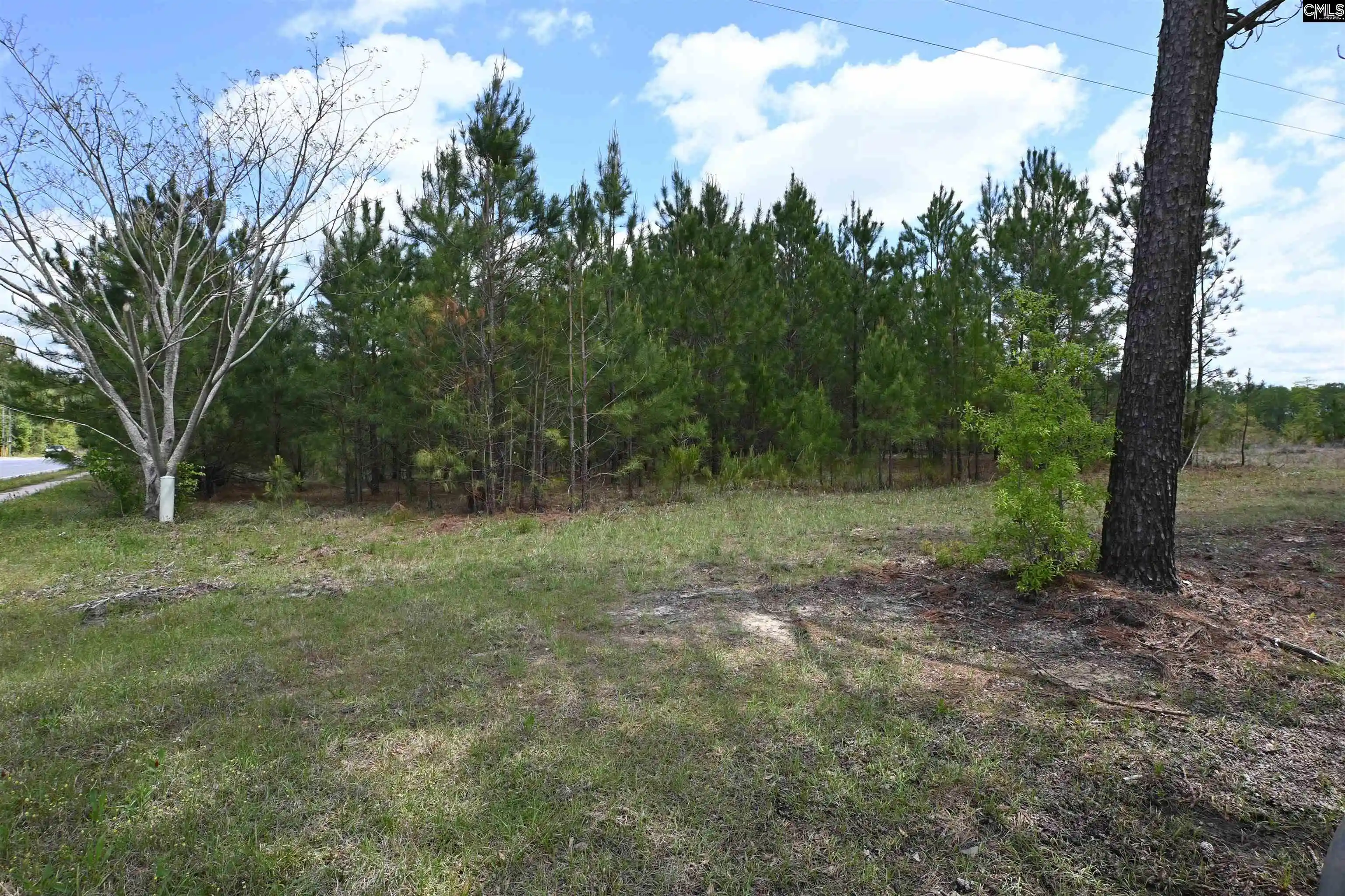 Photo 4 of Land for sale at 0 Platt Springs, West Columbia, SC 29169 | MLS# 639535 | Listing updated on 2026-07-28