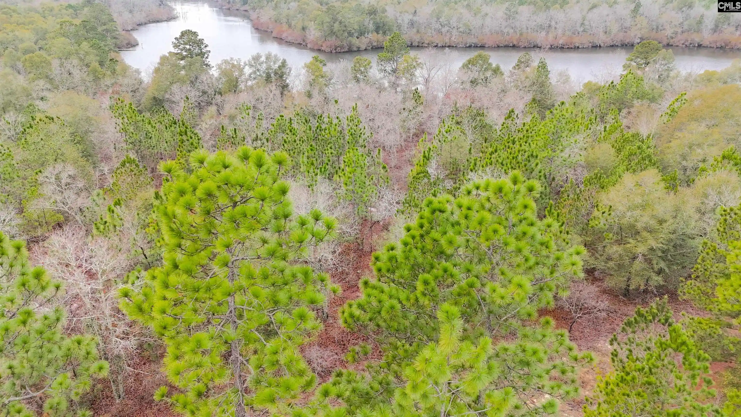 Photo 2 of Land for sale at 0 Browns Pond, Wagener, SC 29164 | MLS# 639536 | Listing updated on 2026-07-28