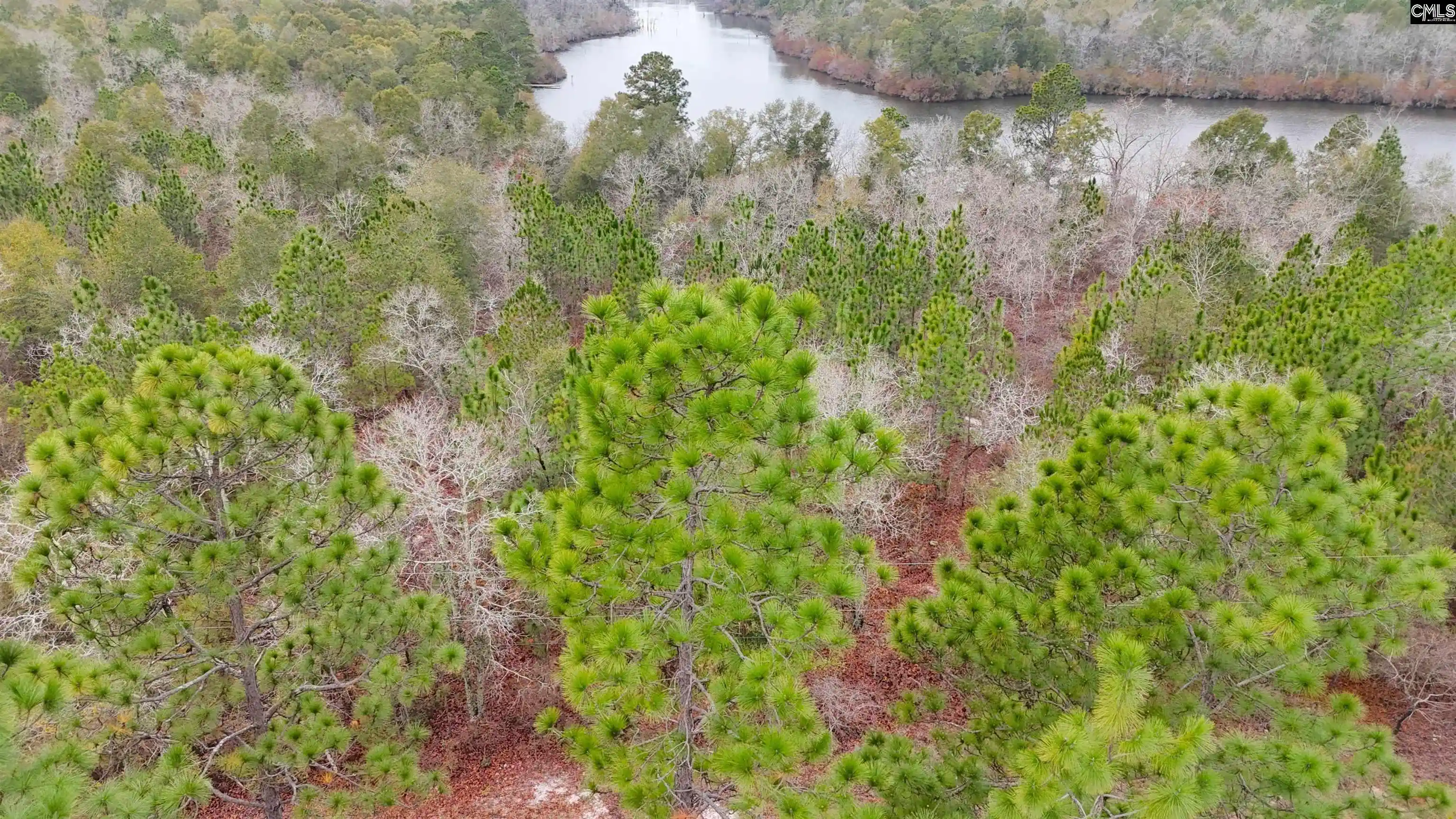 Photo 3 of Land for sale at 0 Browns Pond, Wagener, SC 29164 | MLS# 639536 | Listing updated on 2026-09-30
