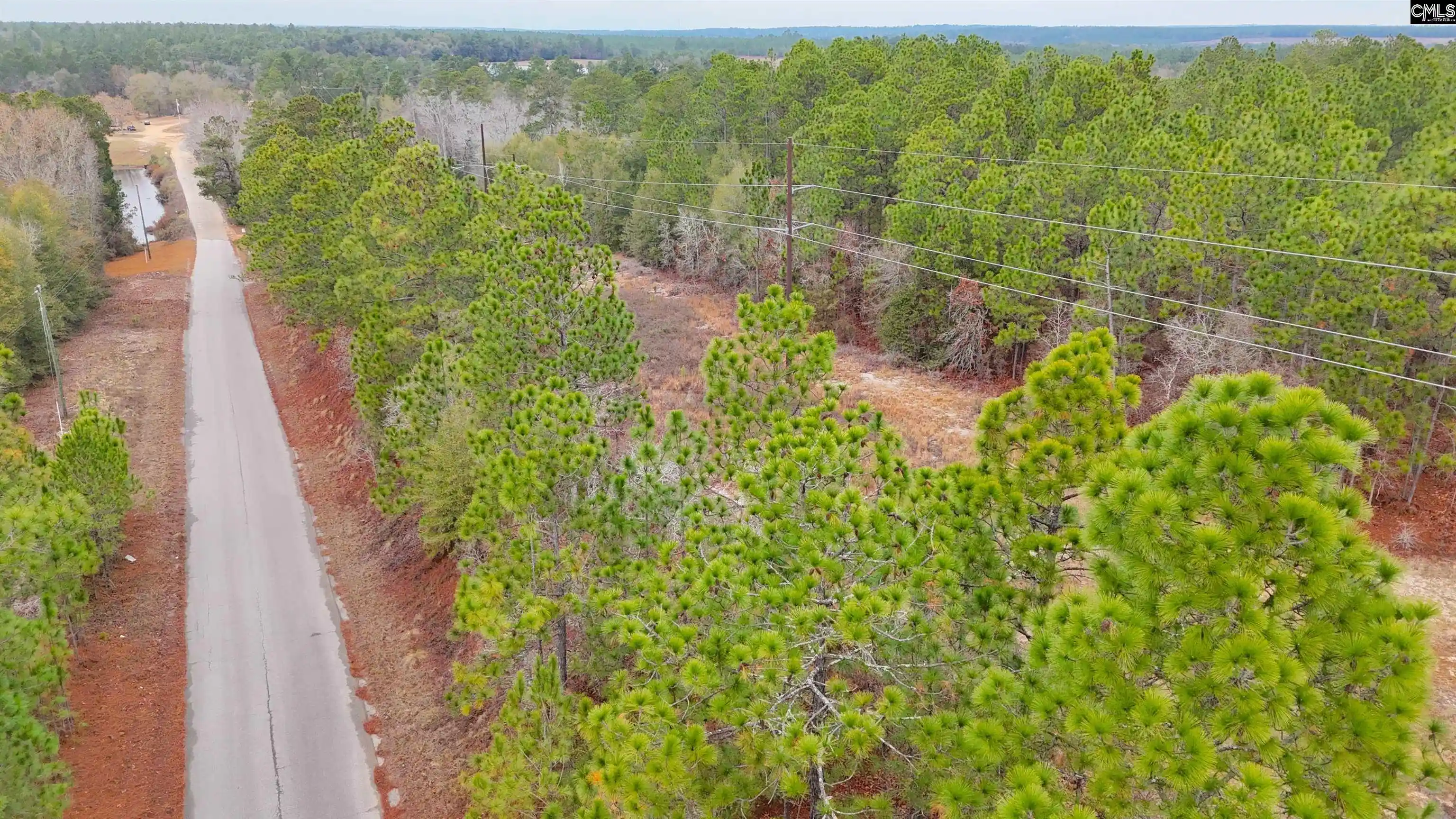 Photo 4 of Land for sale at 0 Browns Pond, Wagener, SC 29164 | MLS# 639536 | Listing updated on 2026-07-28