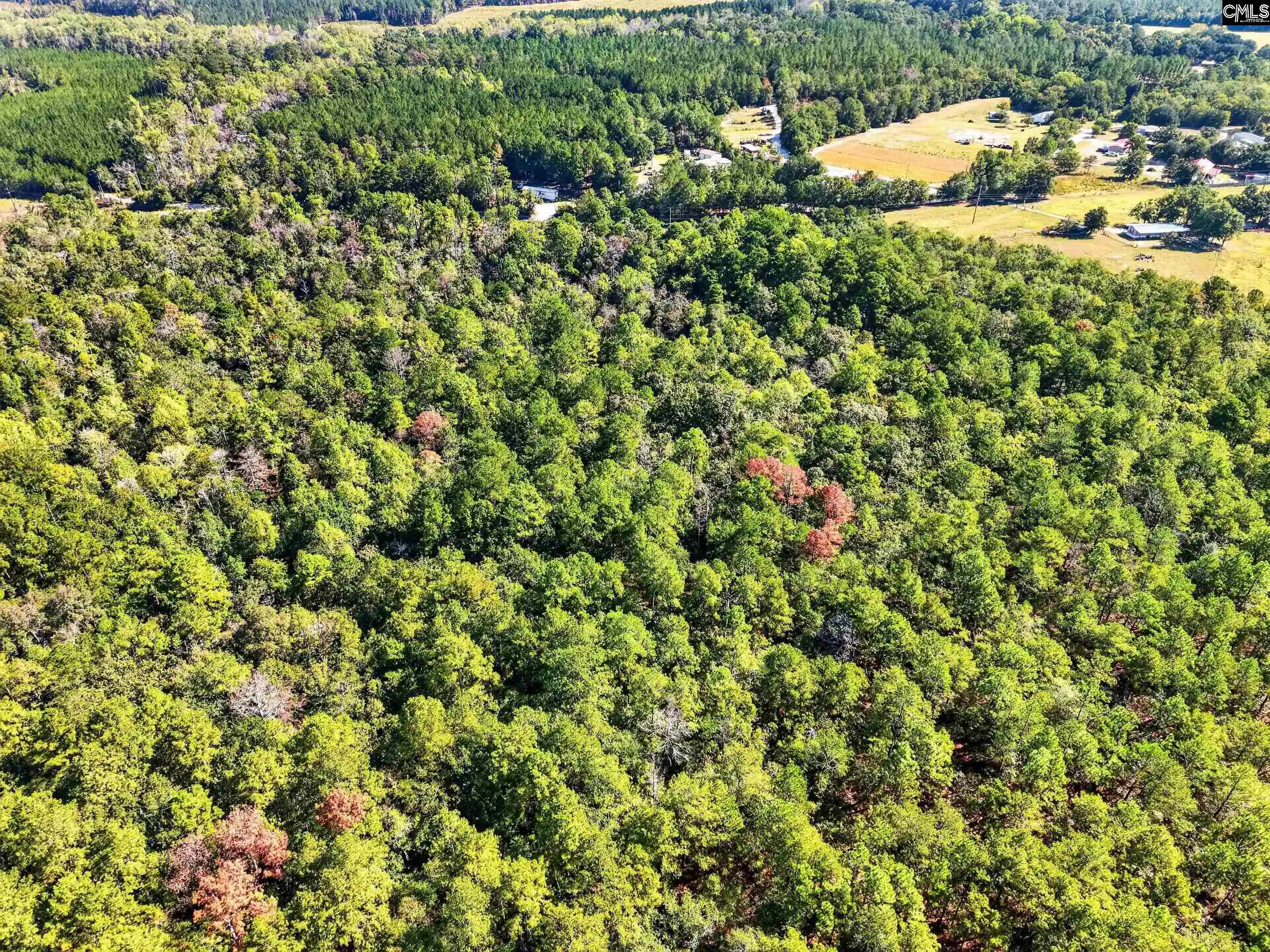 Photo 3 of Land for sale at 630 Mackinaw, Batesburg, SC 29006 | MLS# 639541 | Listing updated on 2026-09-29