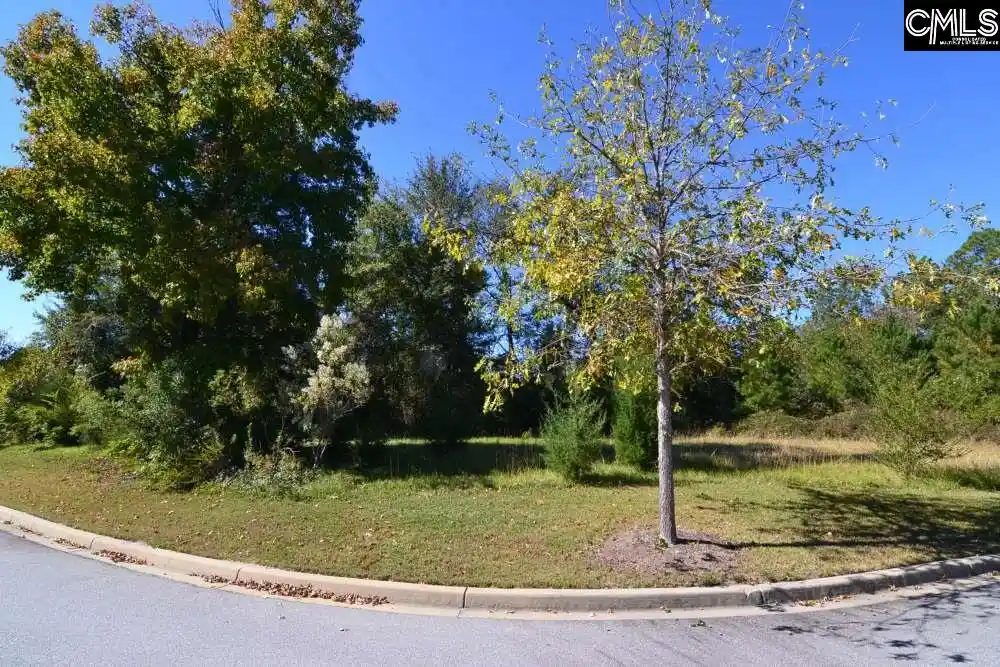 Photo 3 of Land for sale at 15 Blythe View #9, Blythewood, SC 29016 | MLS# 639560 | Listing updated on 2026-07-28