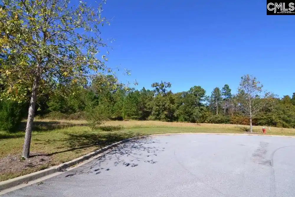Photo 6 of Land for sale at 15 Blythe View #9, Blythewood, SC 29016 | MLS# 639560 | Listing updated on 2026-07-28