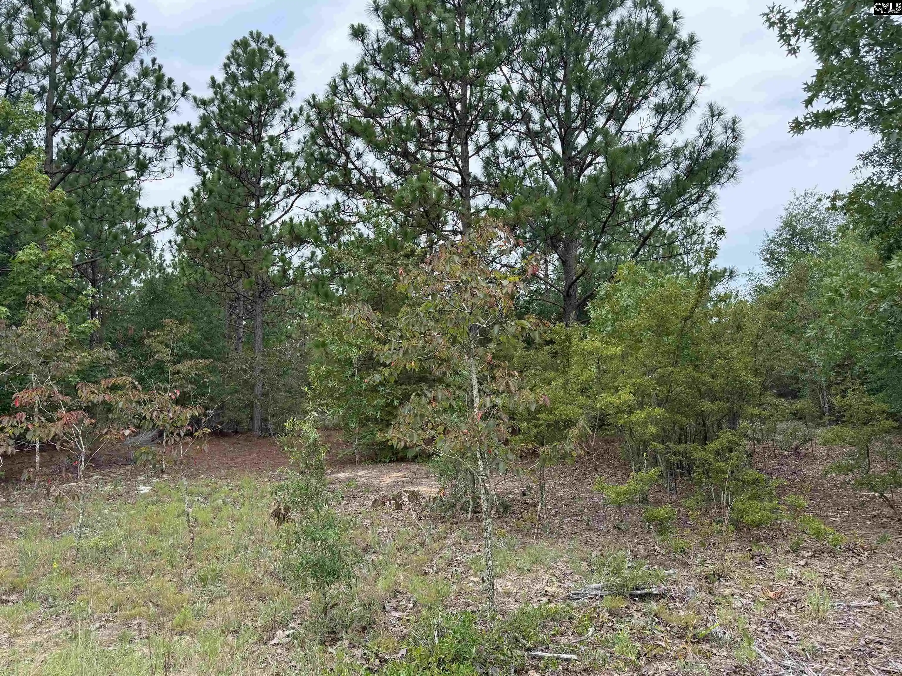 1st image of Near 615 Browns Pond, Wagener, SC 29164 | MLS# 639613