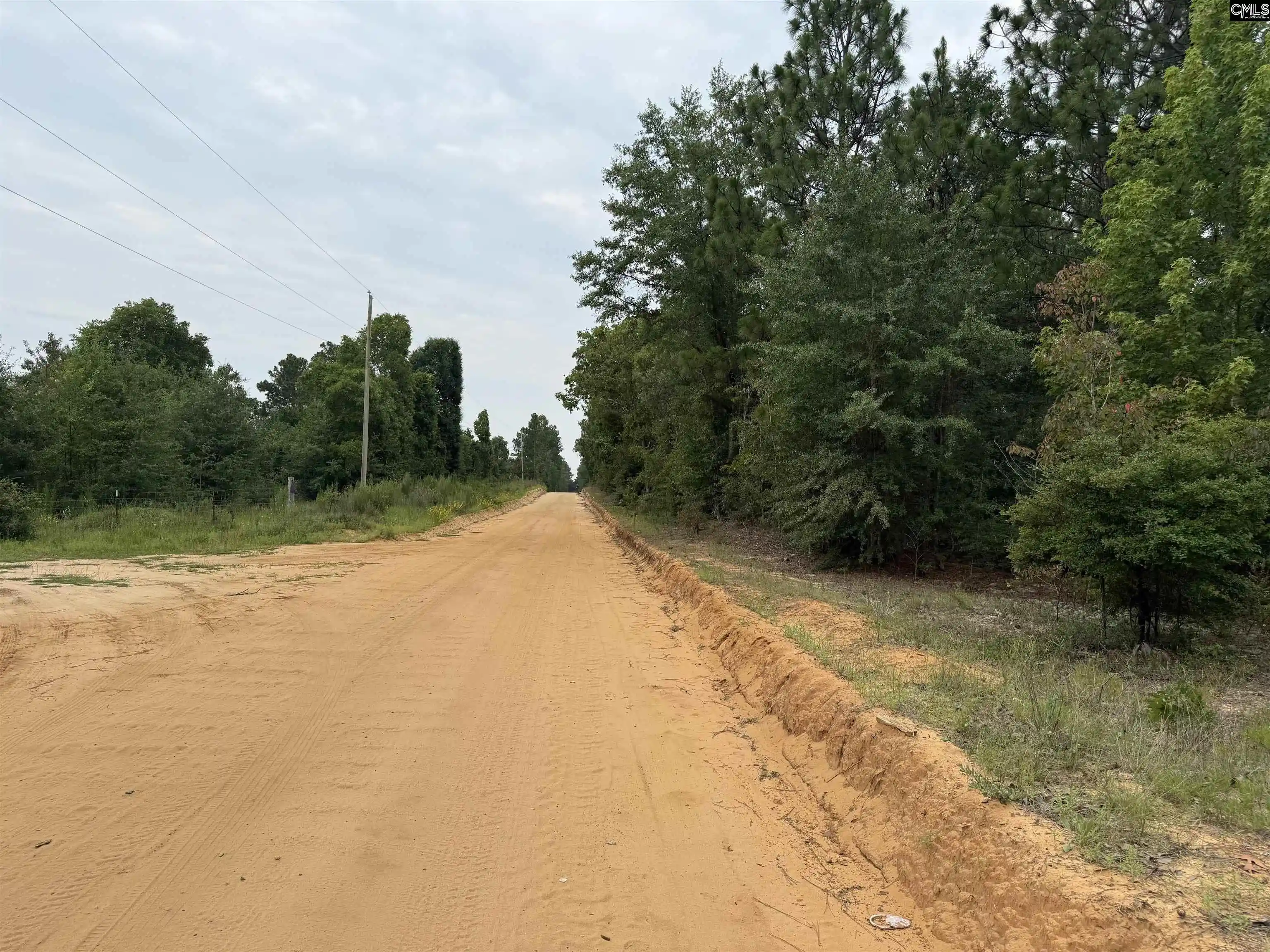 3rd image of Near 615 Browns Pond, Wagener, SC 29164 | MLS# 639613