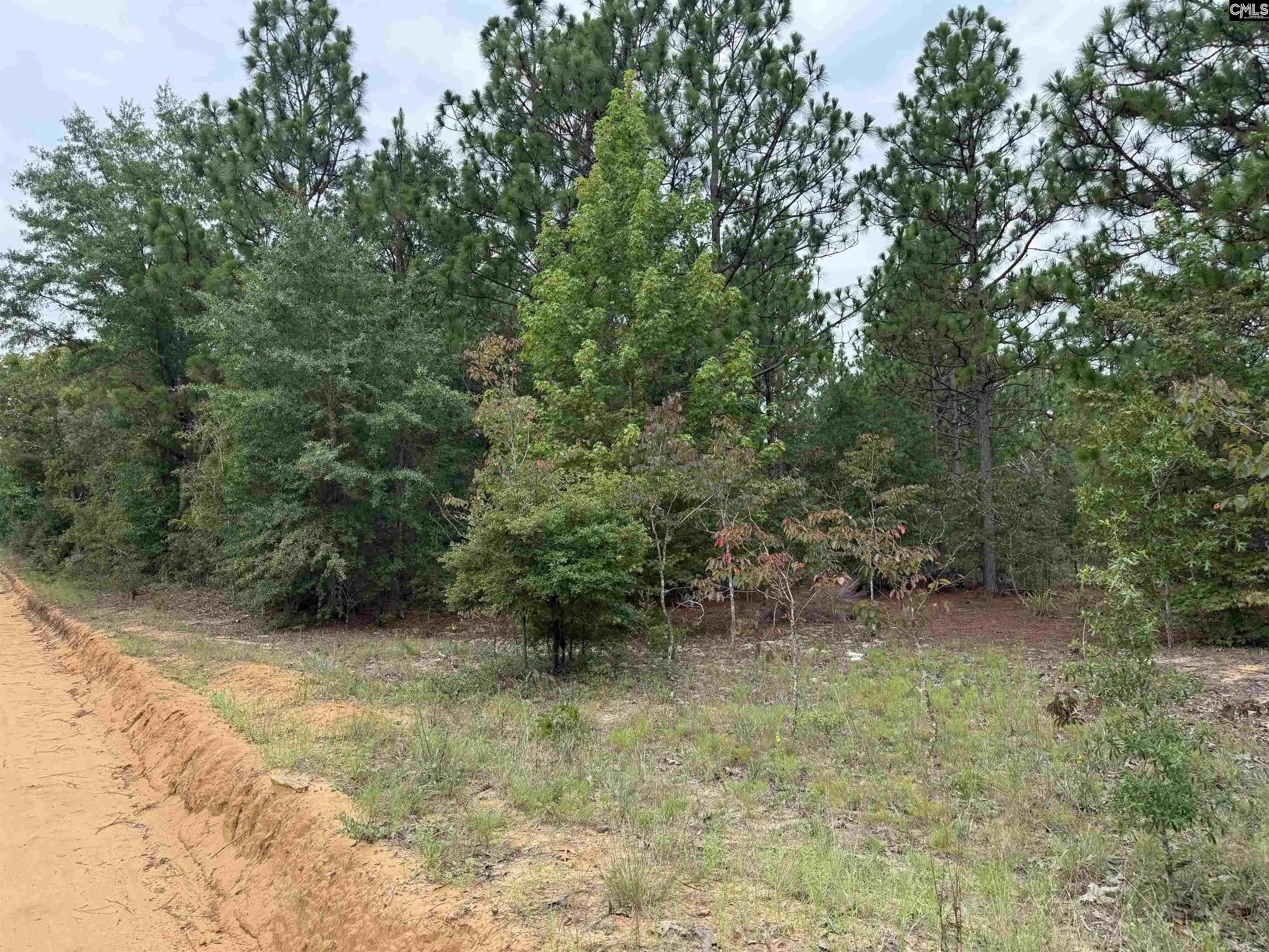 4th image of Near 615 Browns Pond, Wagener, SC 29164 | MLS# 639613