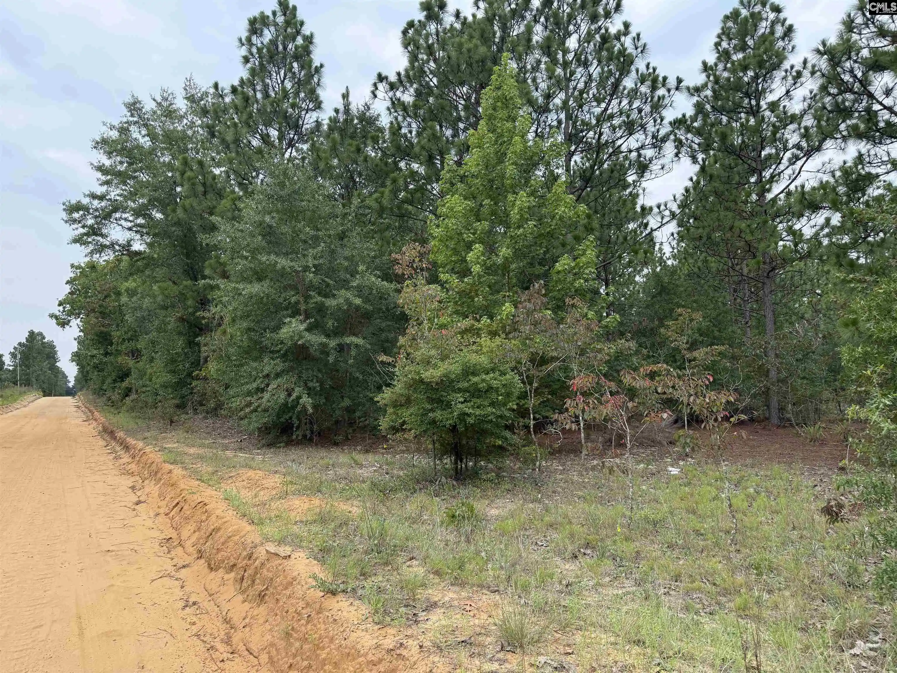 5th image of Near 615 Browns Pond, Wagener, SC 29164 | MLS# 639613