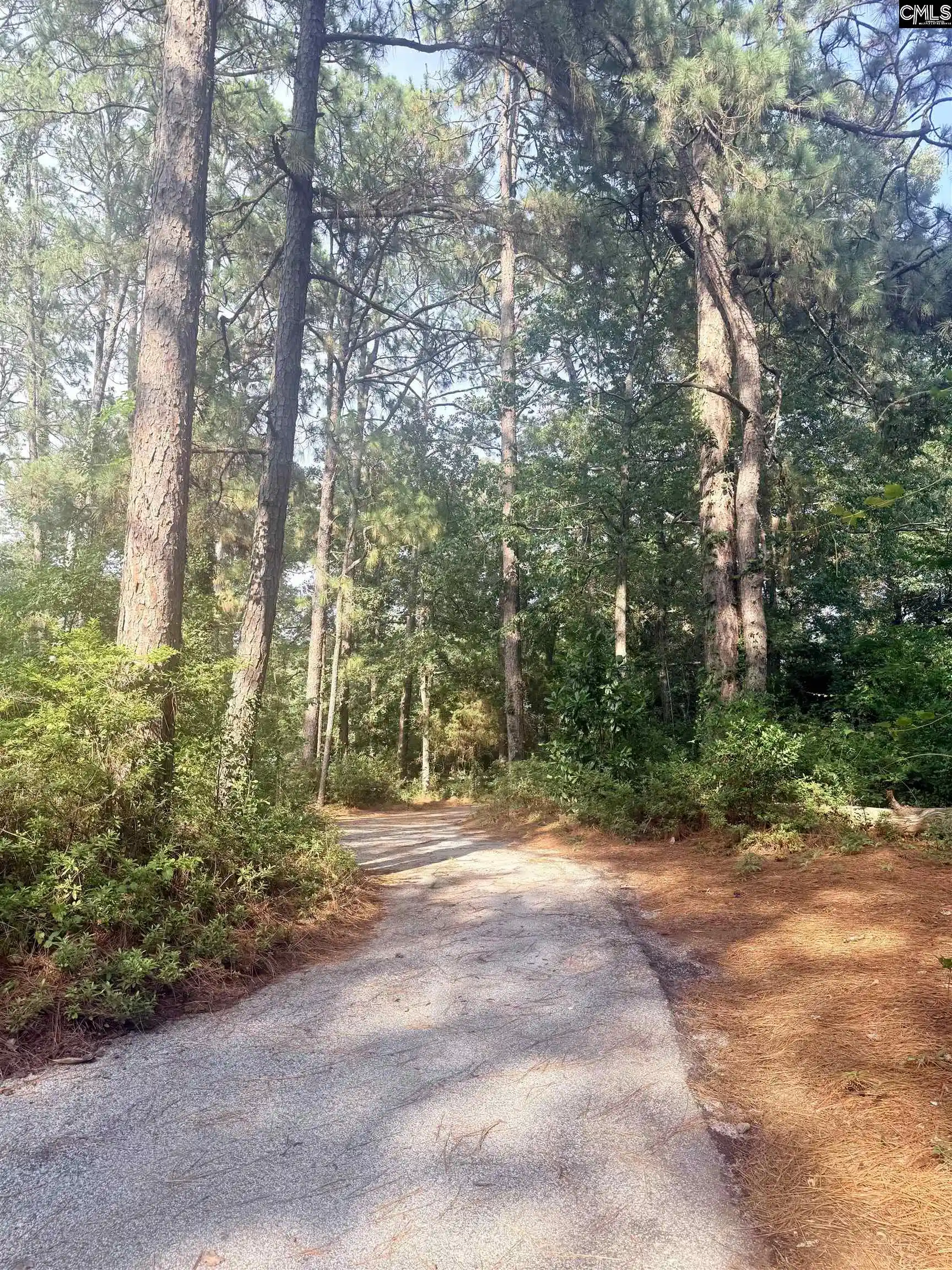 4th image of 9339 Windsor Lake Blvd, Columbia, SC 29223 | MLS# 639625