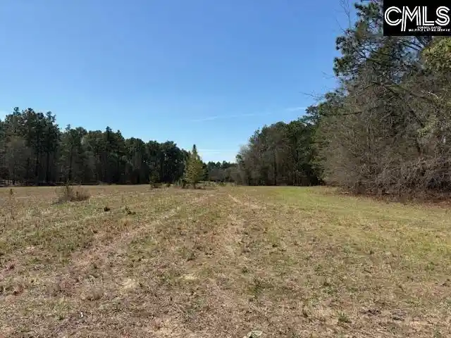 Photo 2 of Land for sale at 0 Marcellus, Leesville, SC 29070 | MLS# 639643 | Listing updated on 2026-07-30