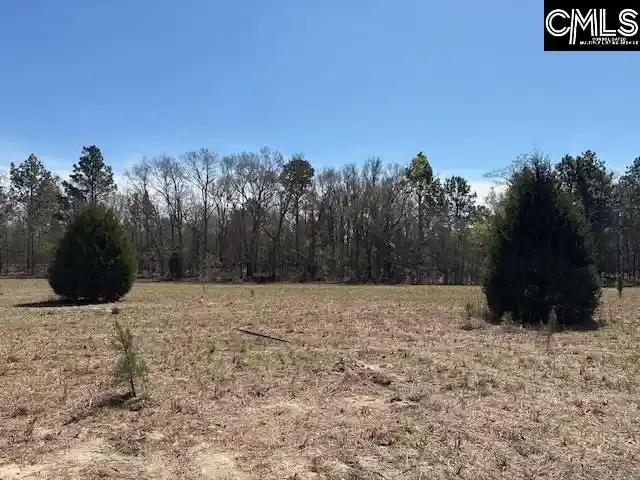 Photo 3 of Land for sale at 0 Marcellus, Leesville, SC 29070 | MLS# 639643 | Listing updated on 2026-07-30