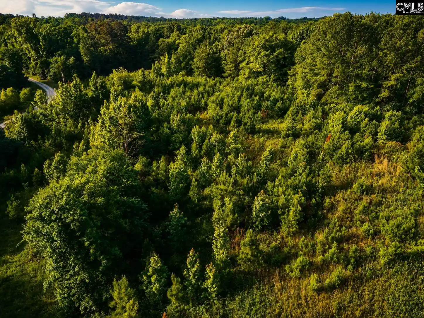 Photo 2 of Land for sale at 1621 Ethan Cook, Leesville, SC 29070 | MLS# 639665 | Listing updated on 2026-08-07