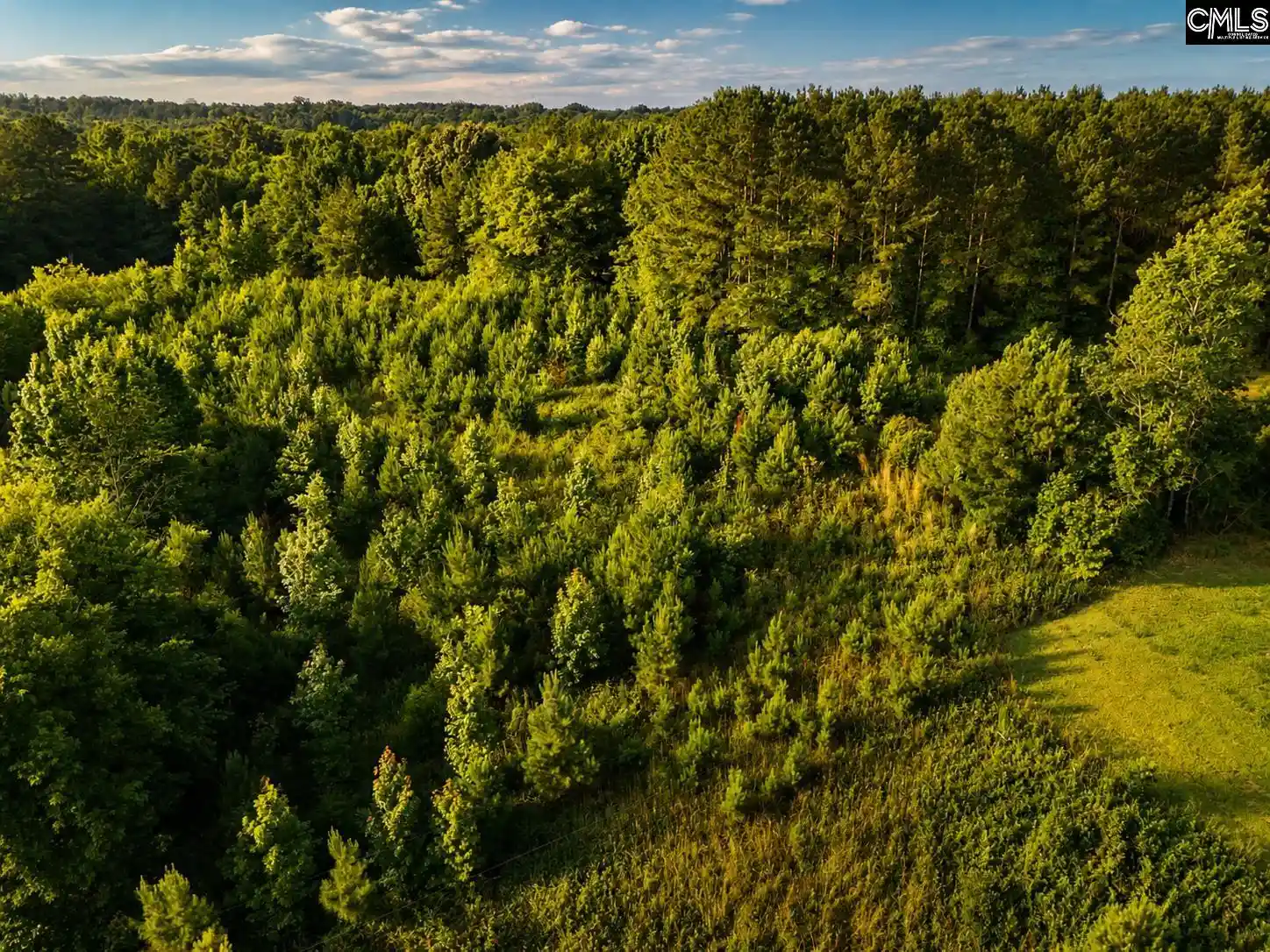 Photo 3 of Land for sale at 1621 Ethan Cook, Leesville, SC 29070 | MLS# 639665 | Listing updated on 2026-08-07