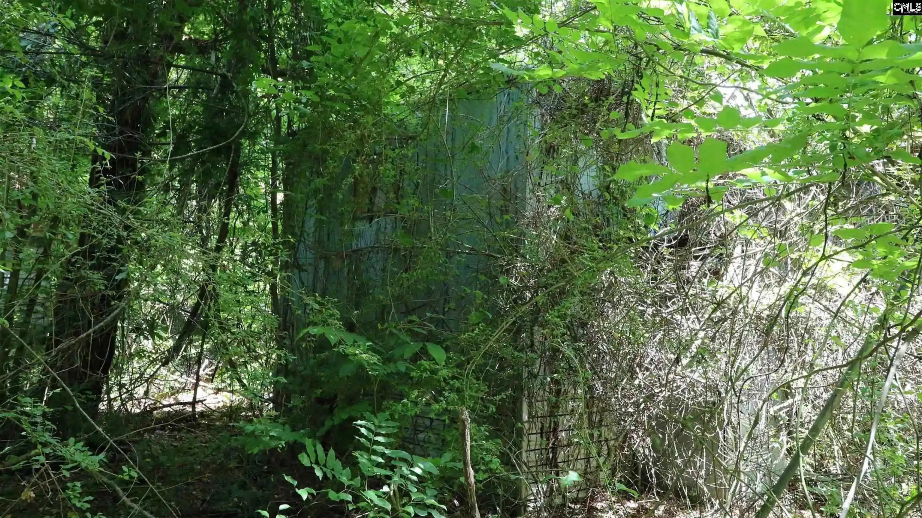 Photo 5 of Land for sale at 1091 Pine Grove, Leesville, SC 29070 | MLS# 639679 | Listing updated on 2026-09-04