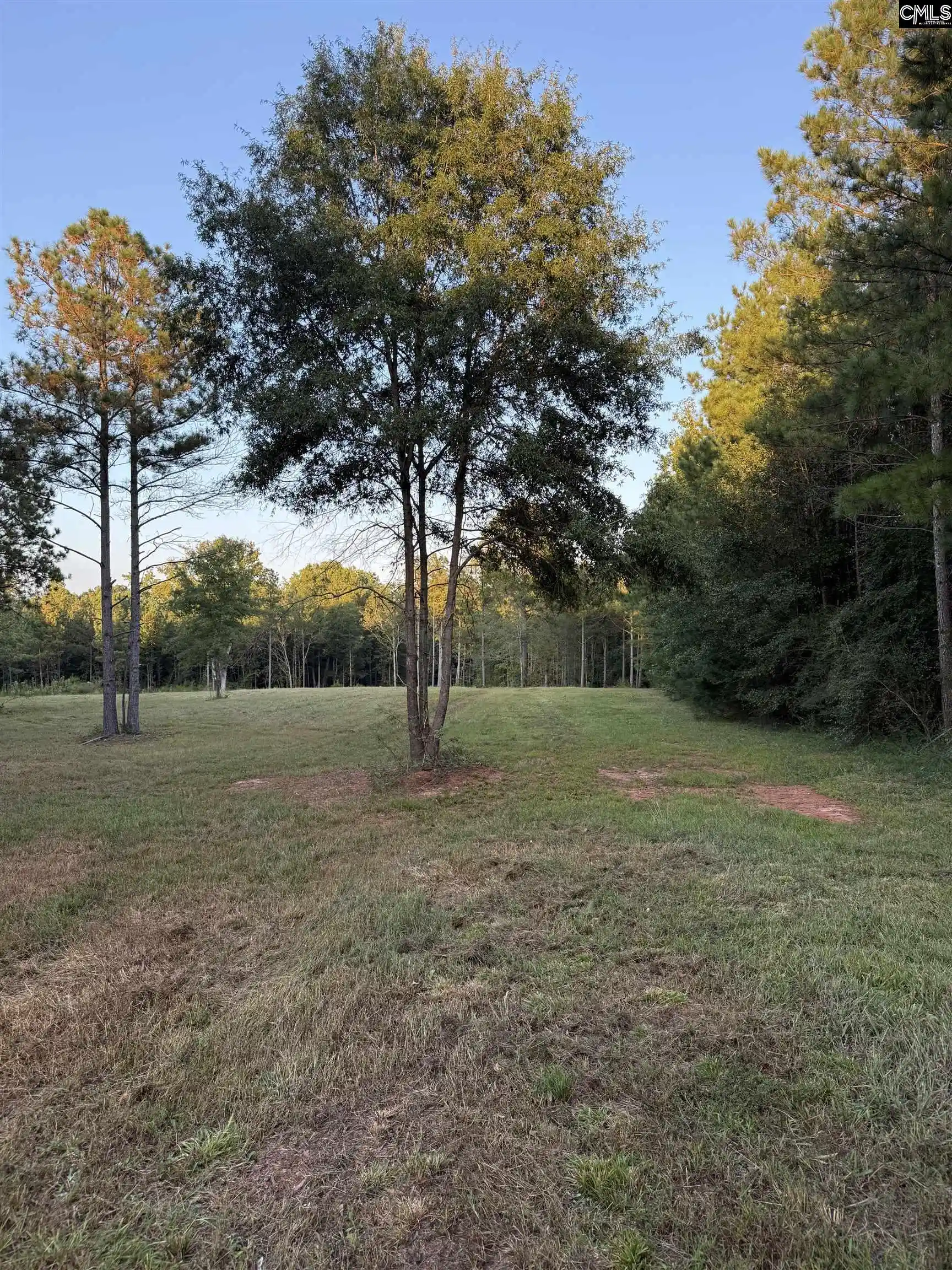Photo 3 of Land for sale at 2 Hwy 76, Newberry, SC 29108 | MLS# 639701 | Listing updated on 2026-08-11