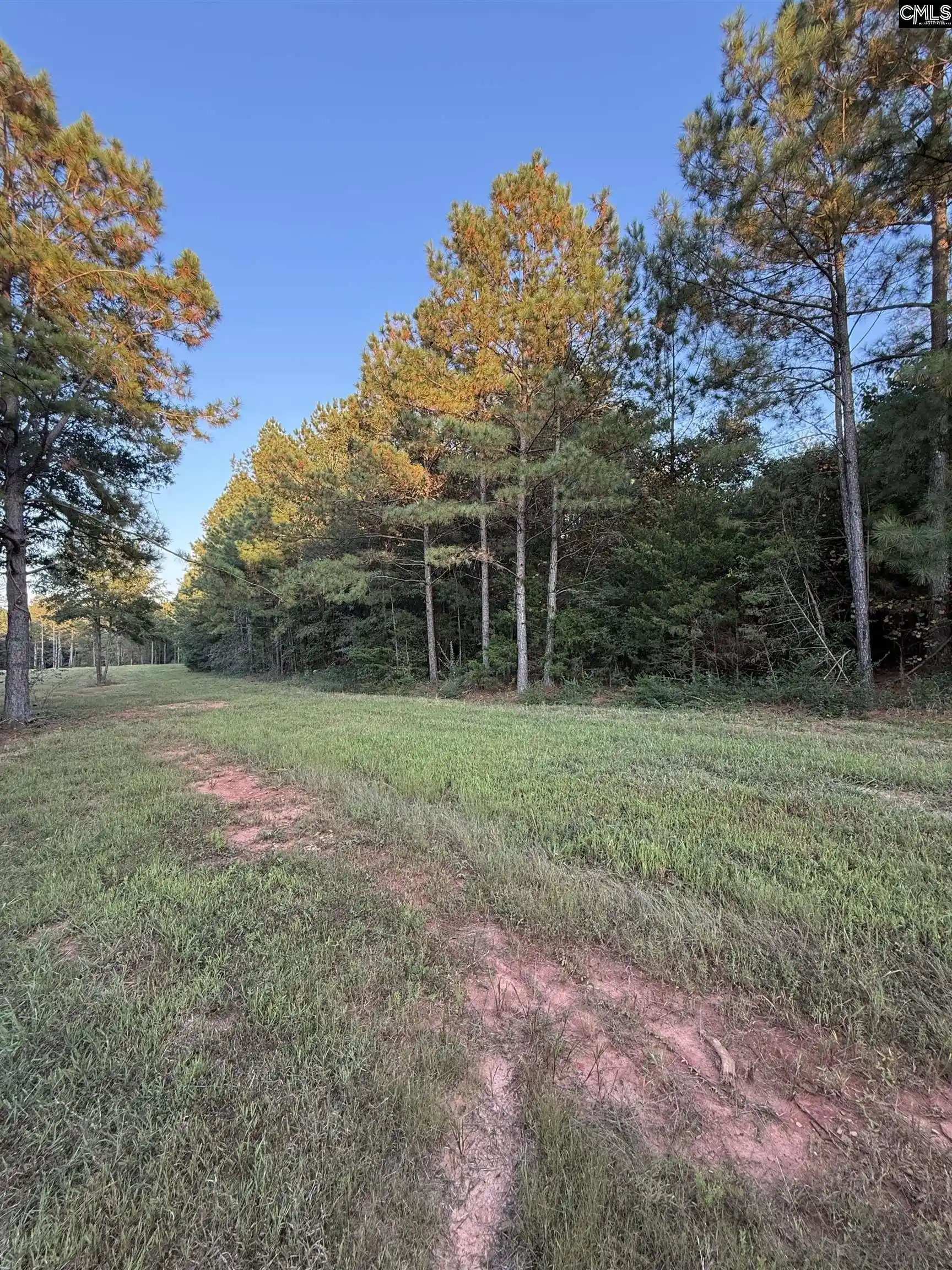 Photo 4 of Land for sale at 2 Hwy 76, Newberry, SC 29108 | MLS# 639701 | Listing updated on 2026-08-11
