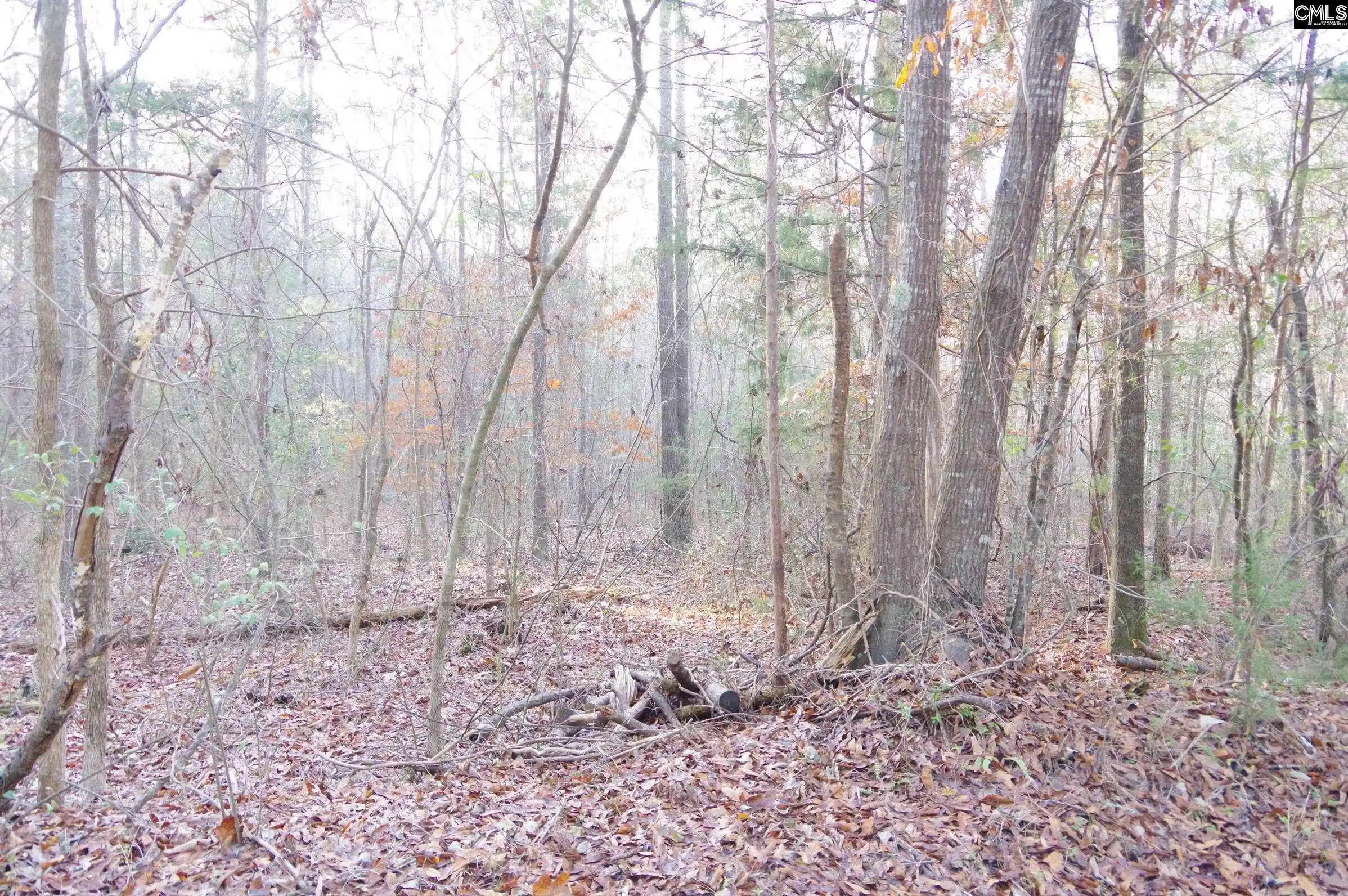 1st image of 133 Archway, Little Mountain, SC 29075 | MLS# 639822
