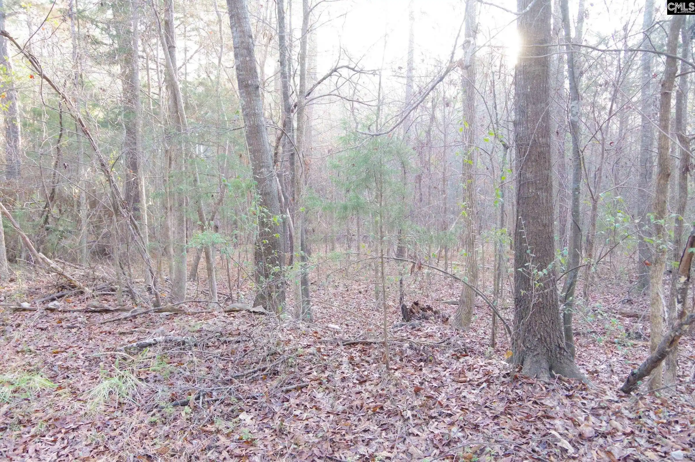 2nd image of 133 Archway, Little Mountain, SC 29075 | MLS# 639822