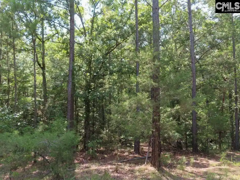 Photo 3 of Land for sale at 0 Landis, Winnsboro, SC 29180 | MLS# 640109 | Listing updated on 2026-08-04