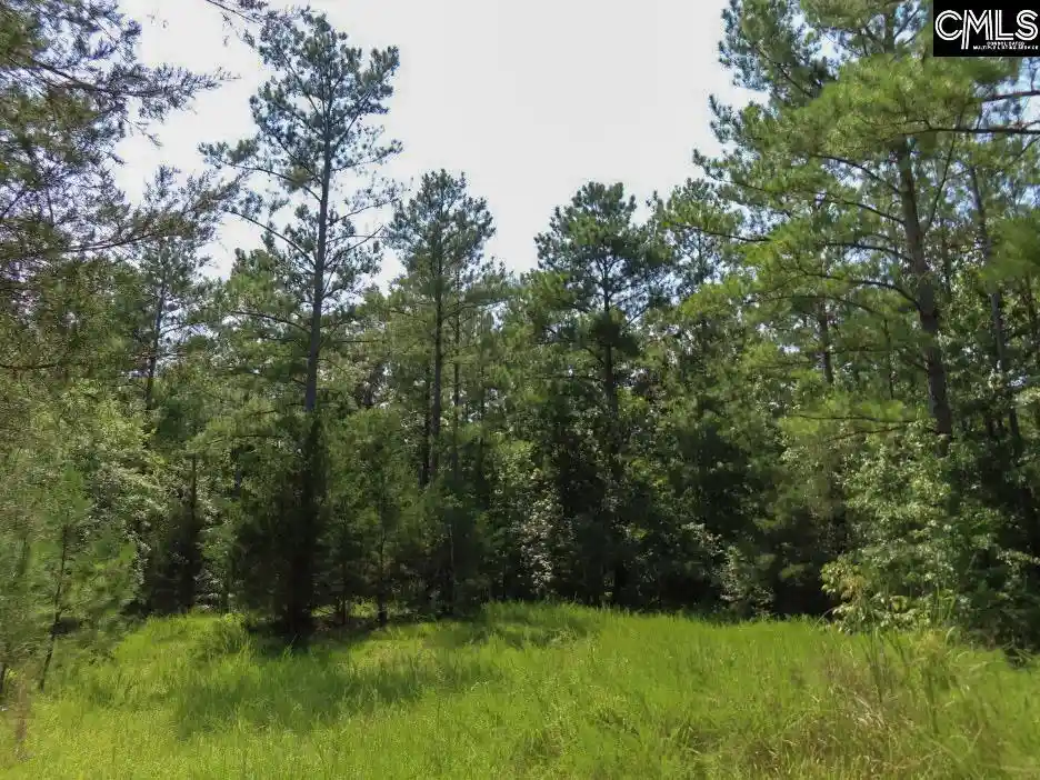 Photo 4 of Land for sale at 0 Landis, Winnsboro, SC 29180 | MLS# 640109 | Listing updated on 2026-08-04